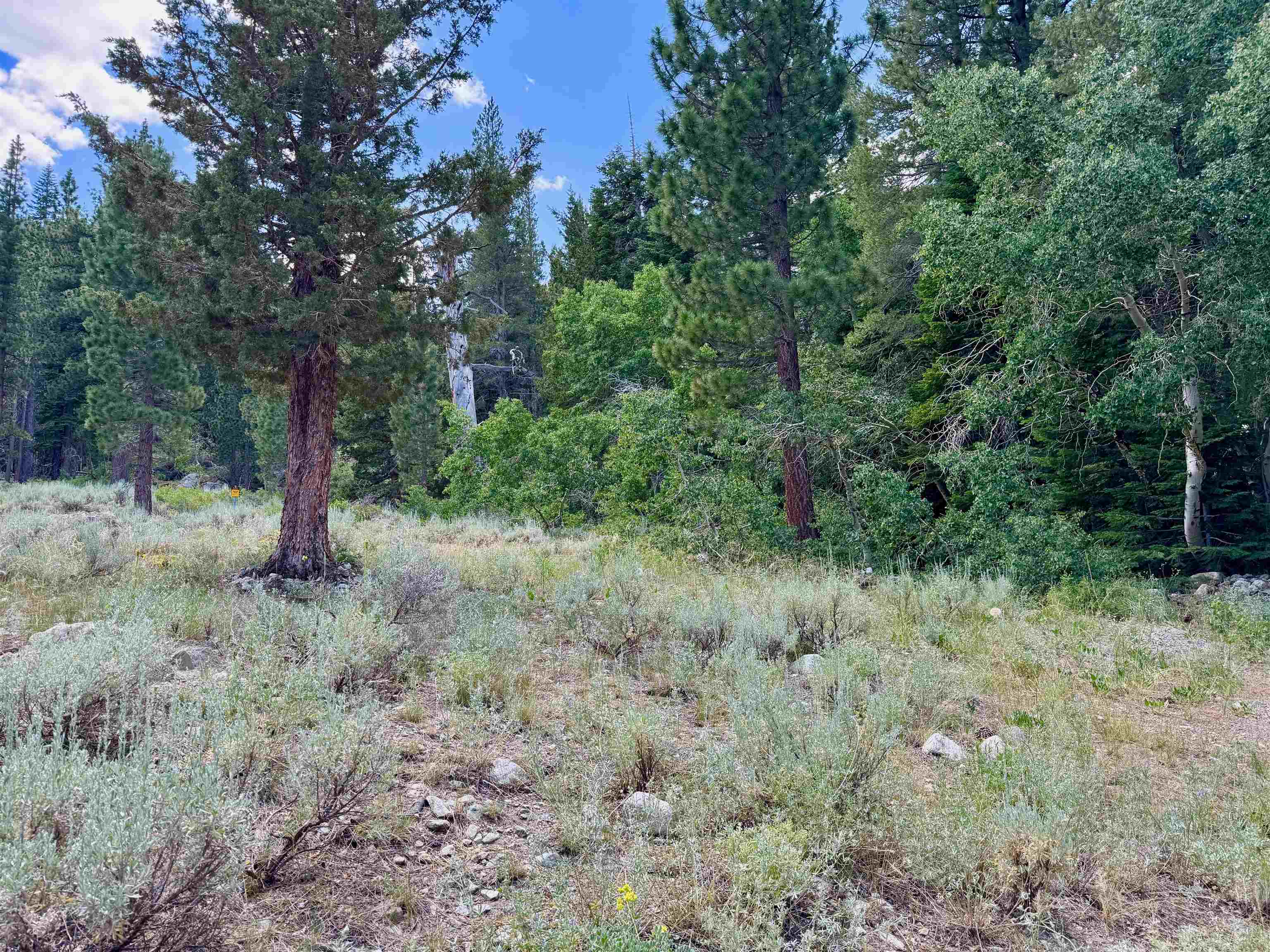 85 Shadow Pines Road