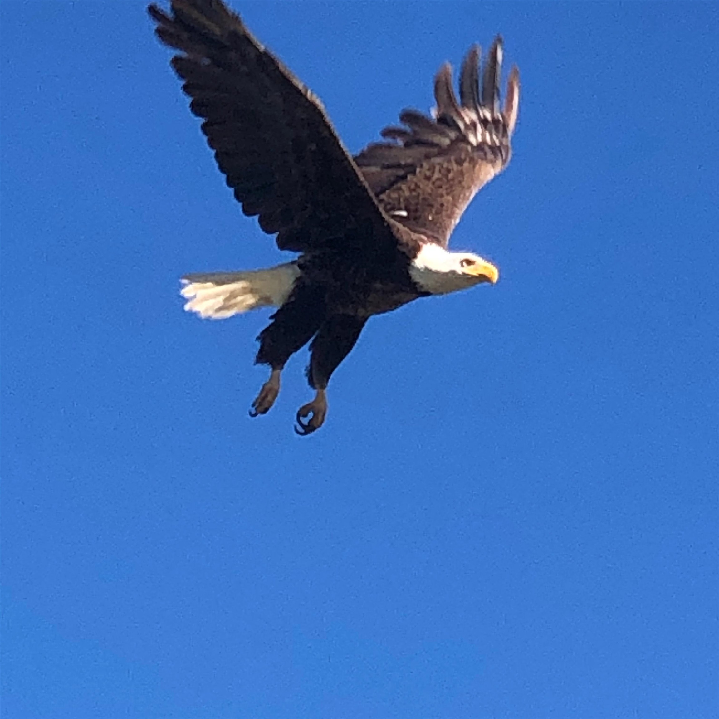 810 Fairway Circle Unit: Snowcreek V 810