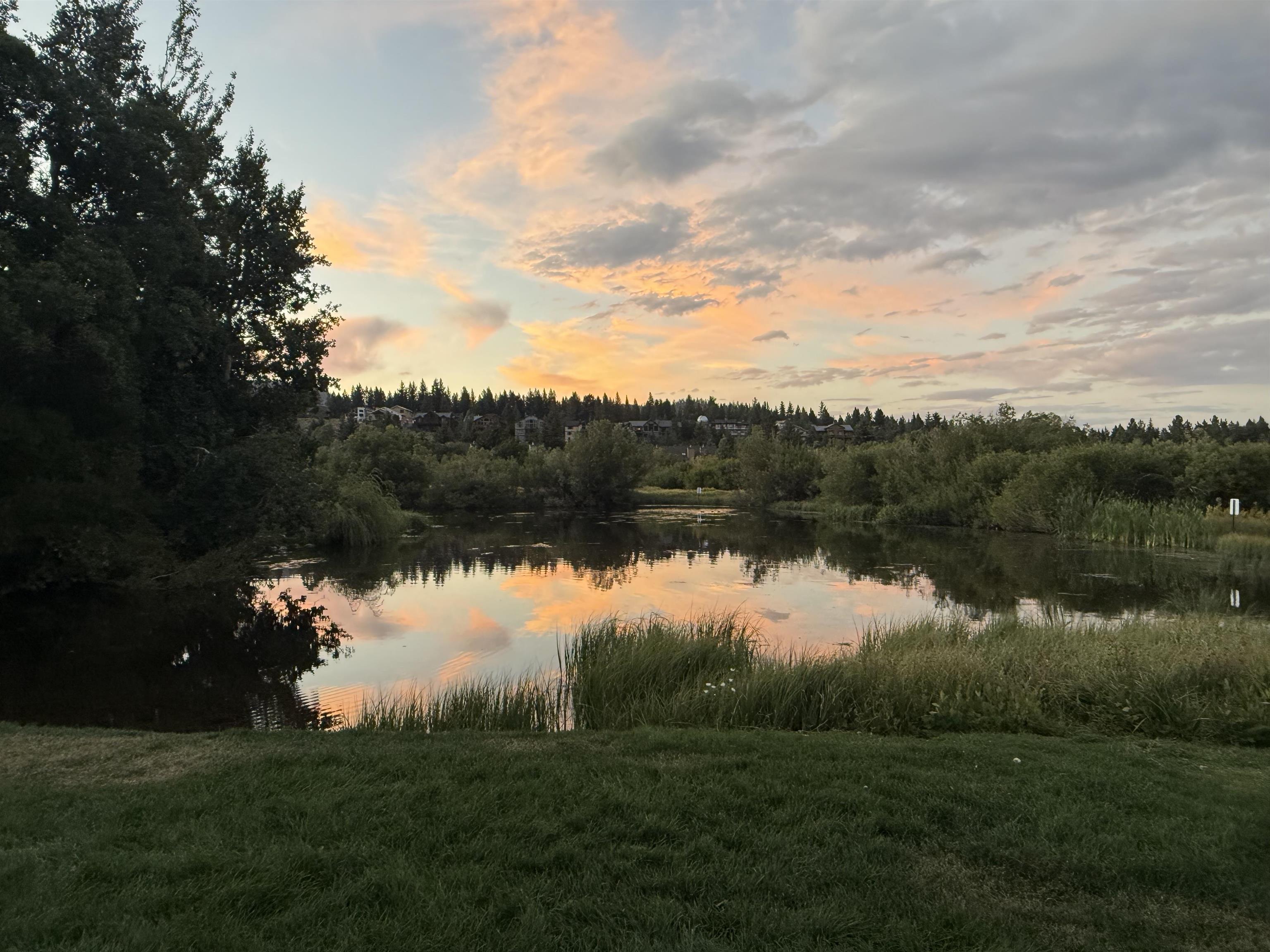 623 Golden Creek Road