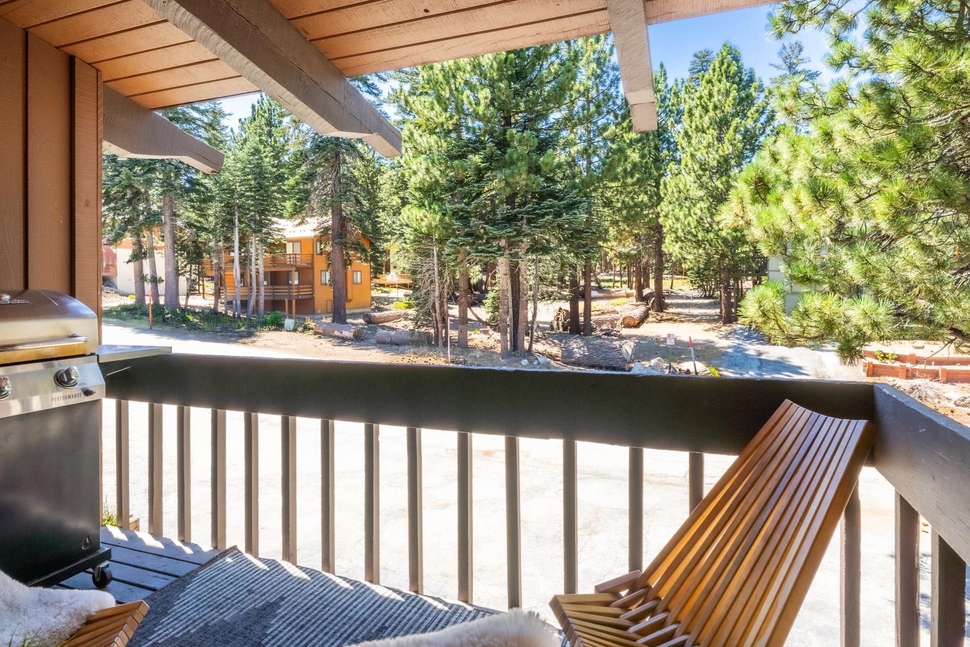 221 Canyon Blvd #114 Unit: Mammoth Estates #114