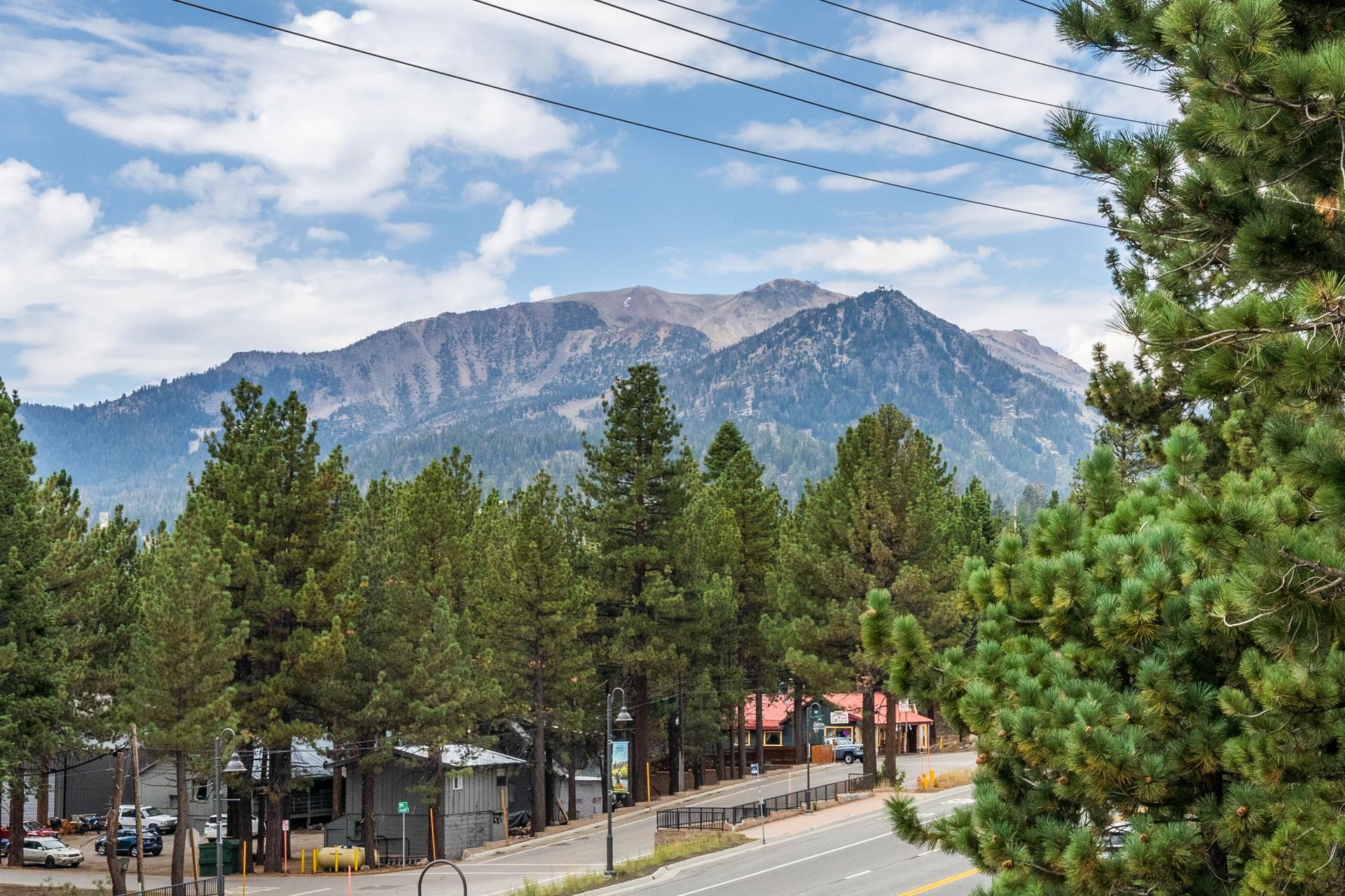 3590 Main St #13 Unit: Nordica #13