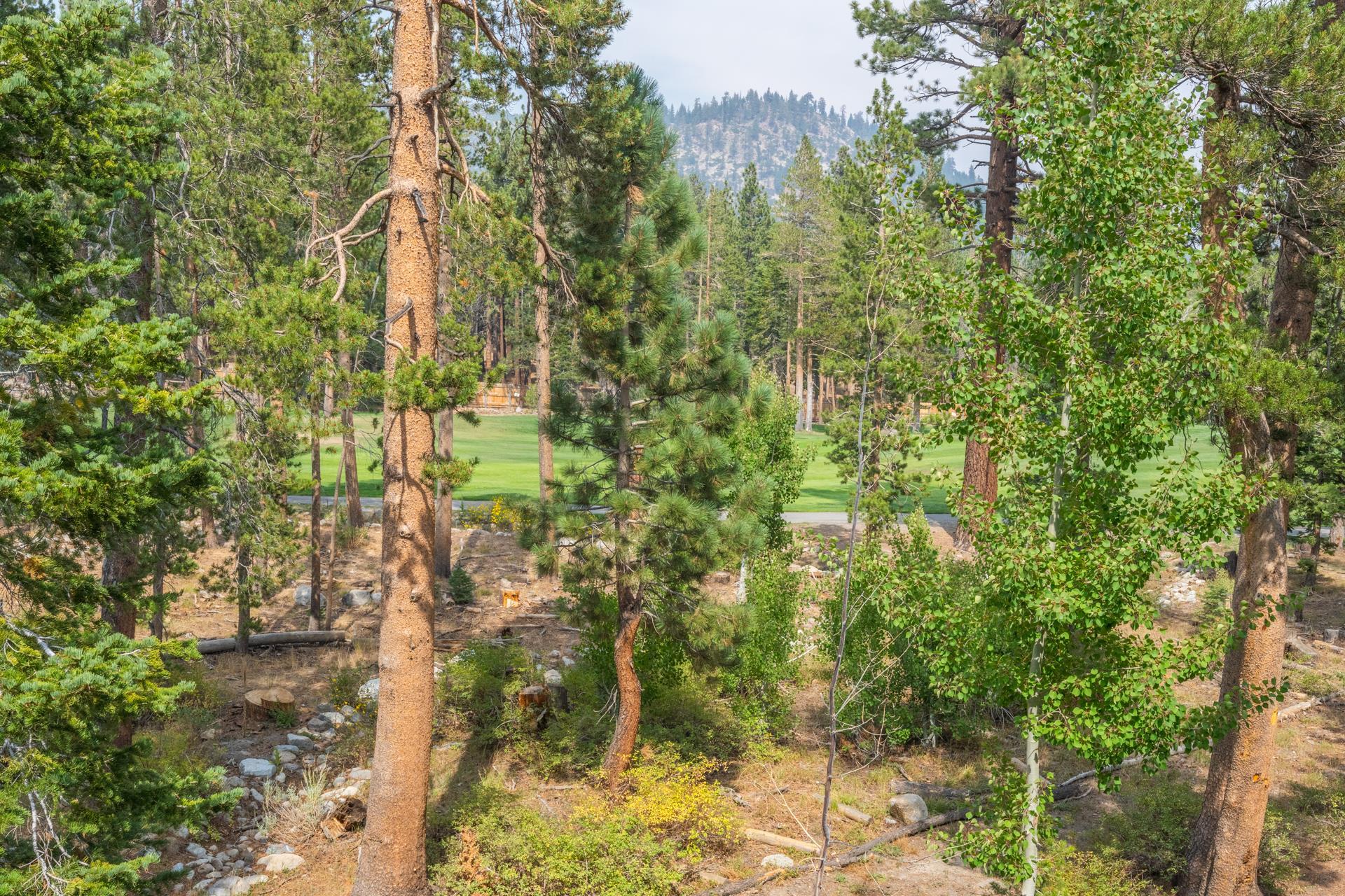 1295 West Bear Lake Drive Unit: Woodwinds #22