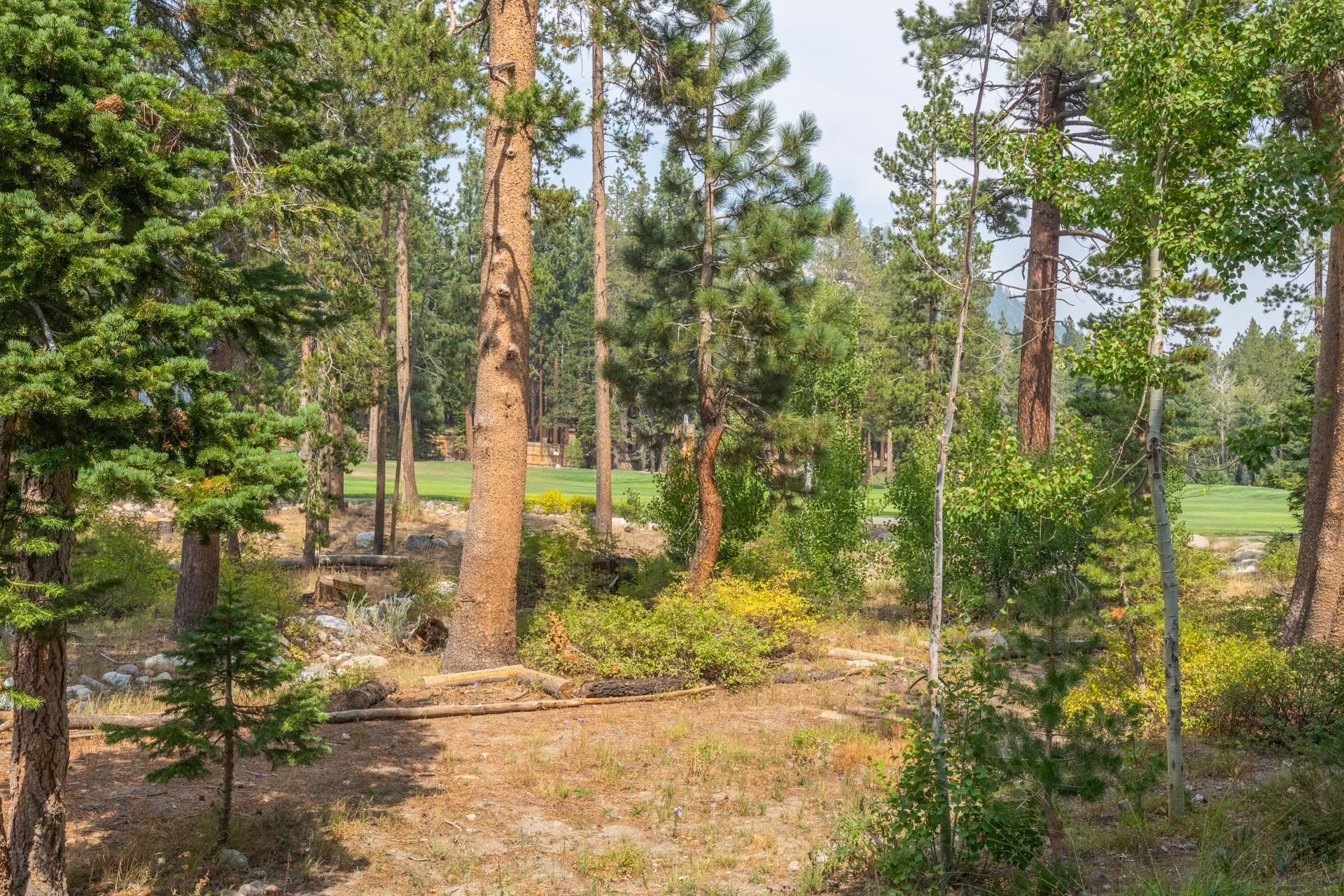 1295 West Bear Lake Drive Unit: Woodwinds #22