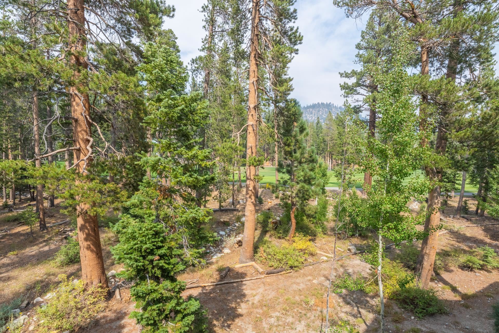 1295 West Bear Lake Drive Unit: Woodwinds #22