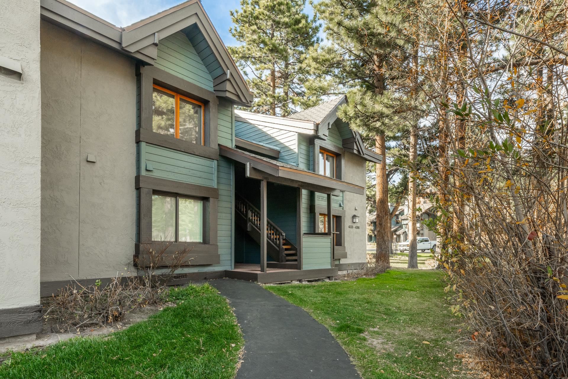 436 White Bark Unit: 436