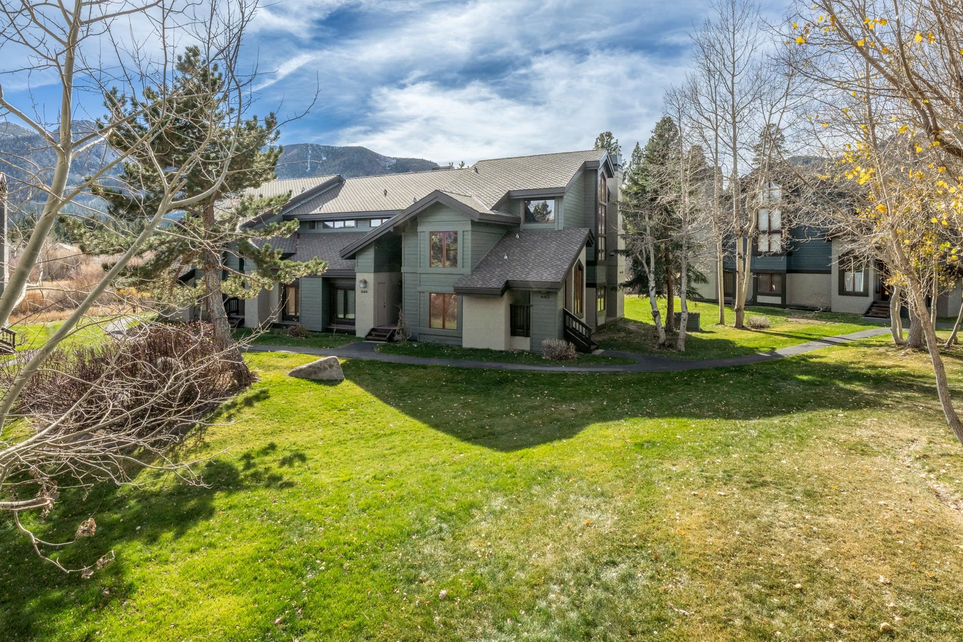 436 White Bark Unit: 436