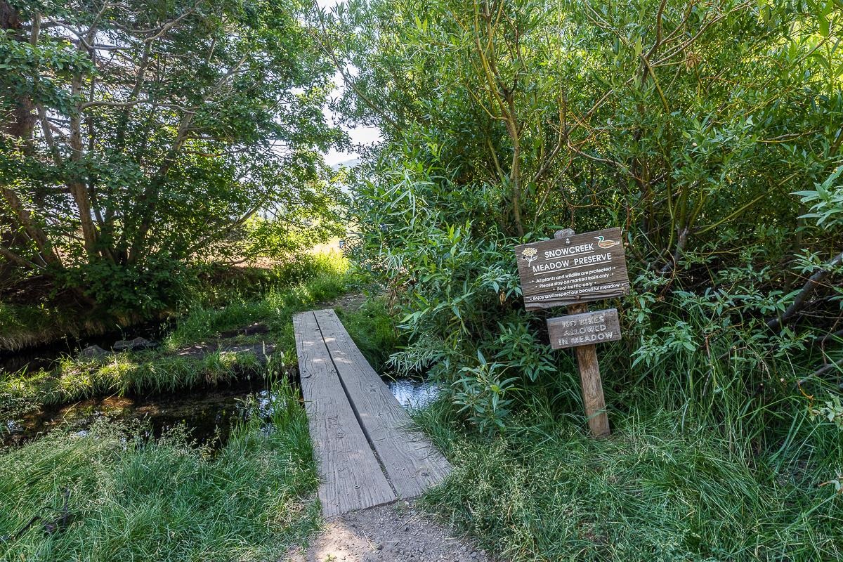 436 White Bark Unit: 436