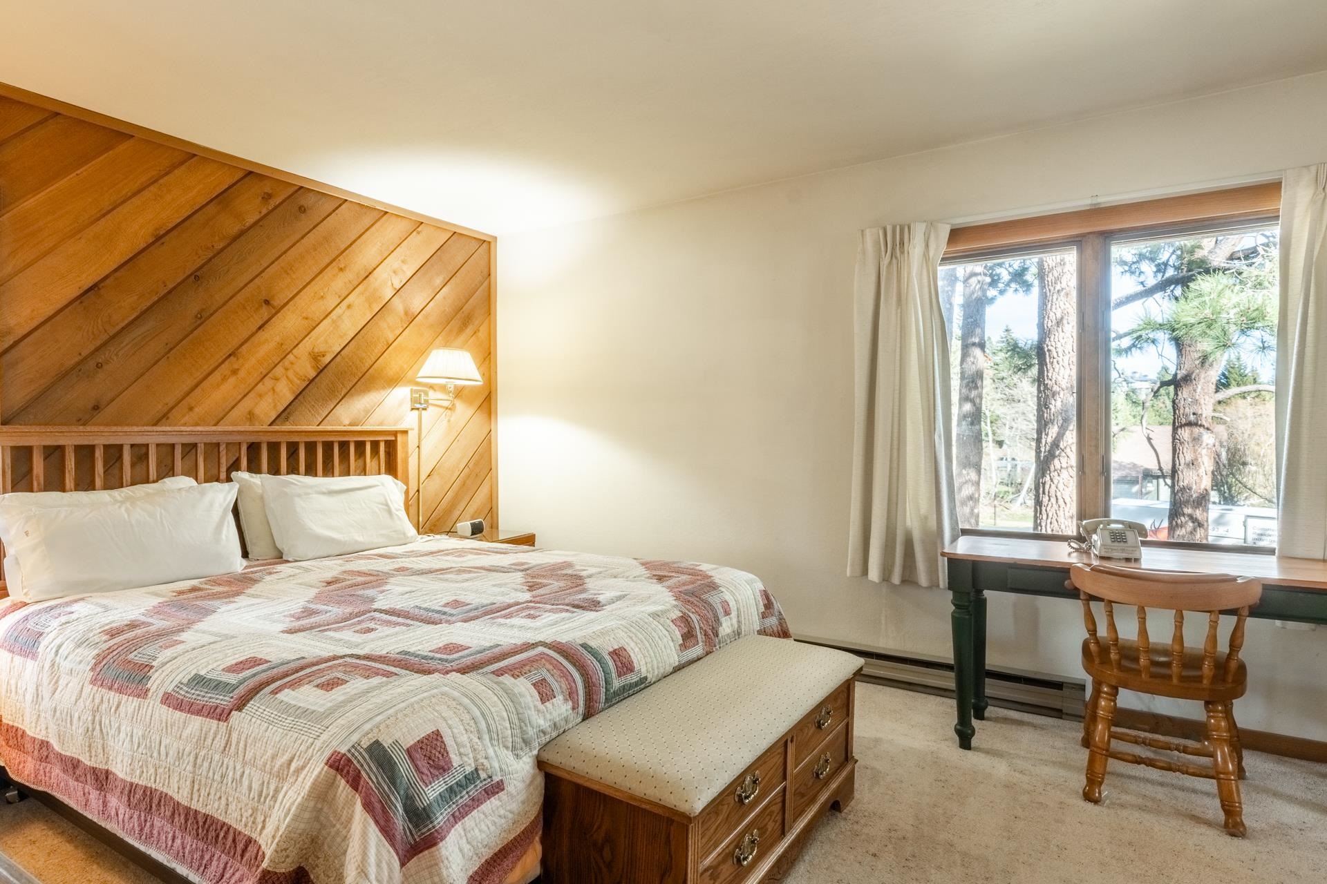 436 White Bark Unit: 436