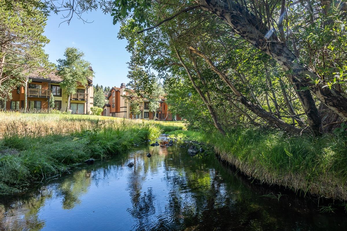 436 White Bark Unit: 436