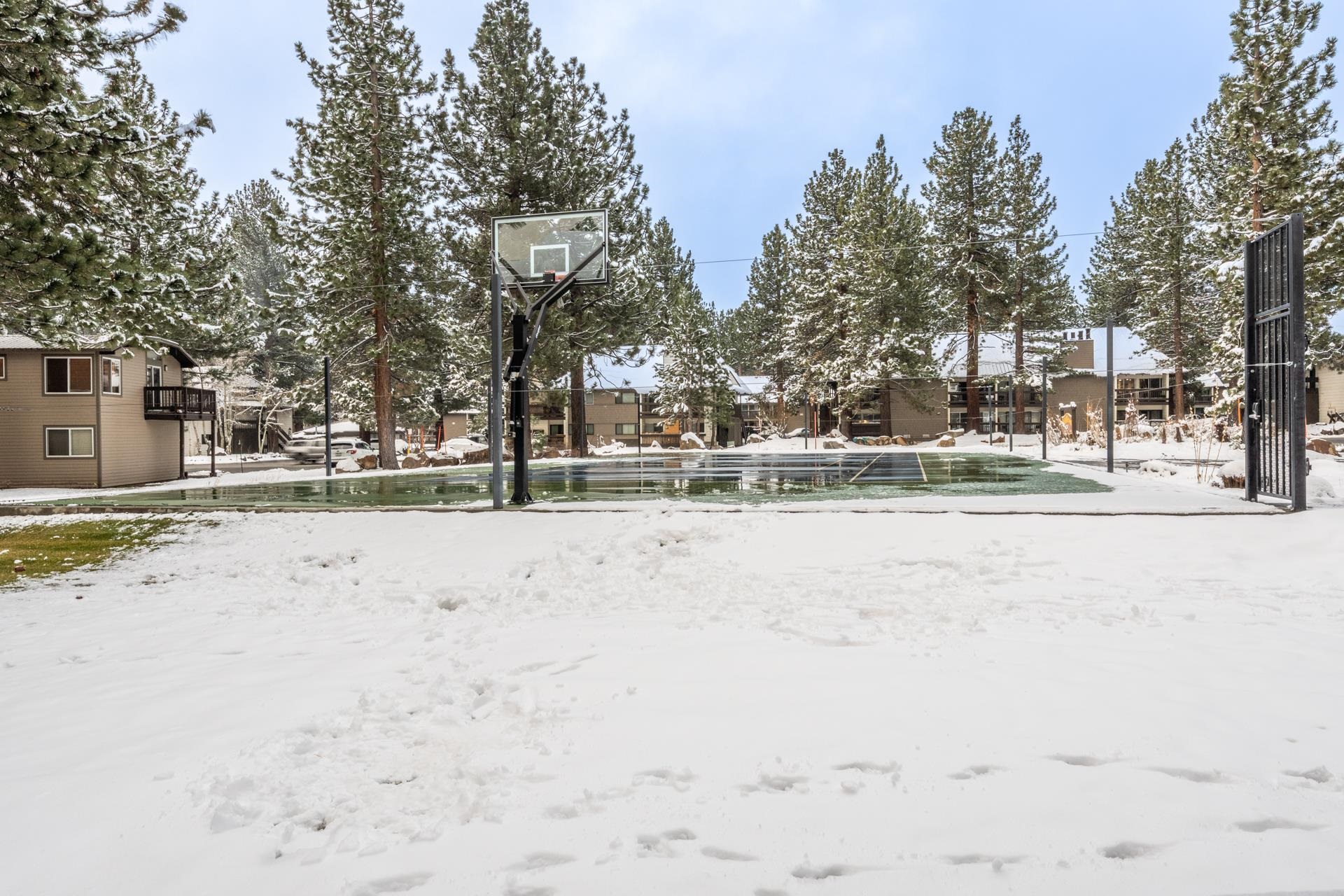 2 Arrowhead Drive #3