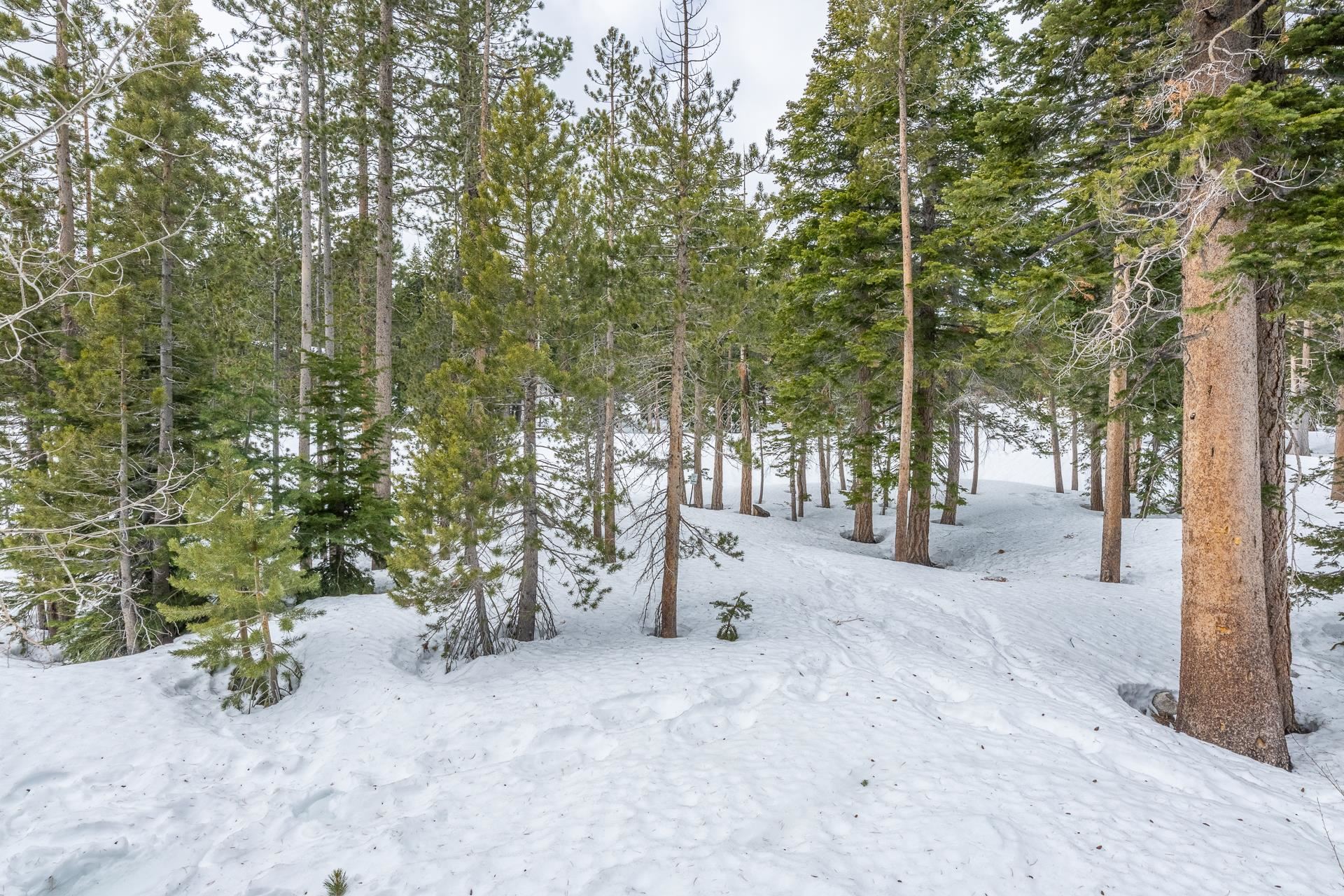 63 Bear Ct. Unit: 14