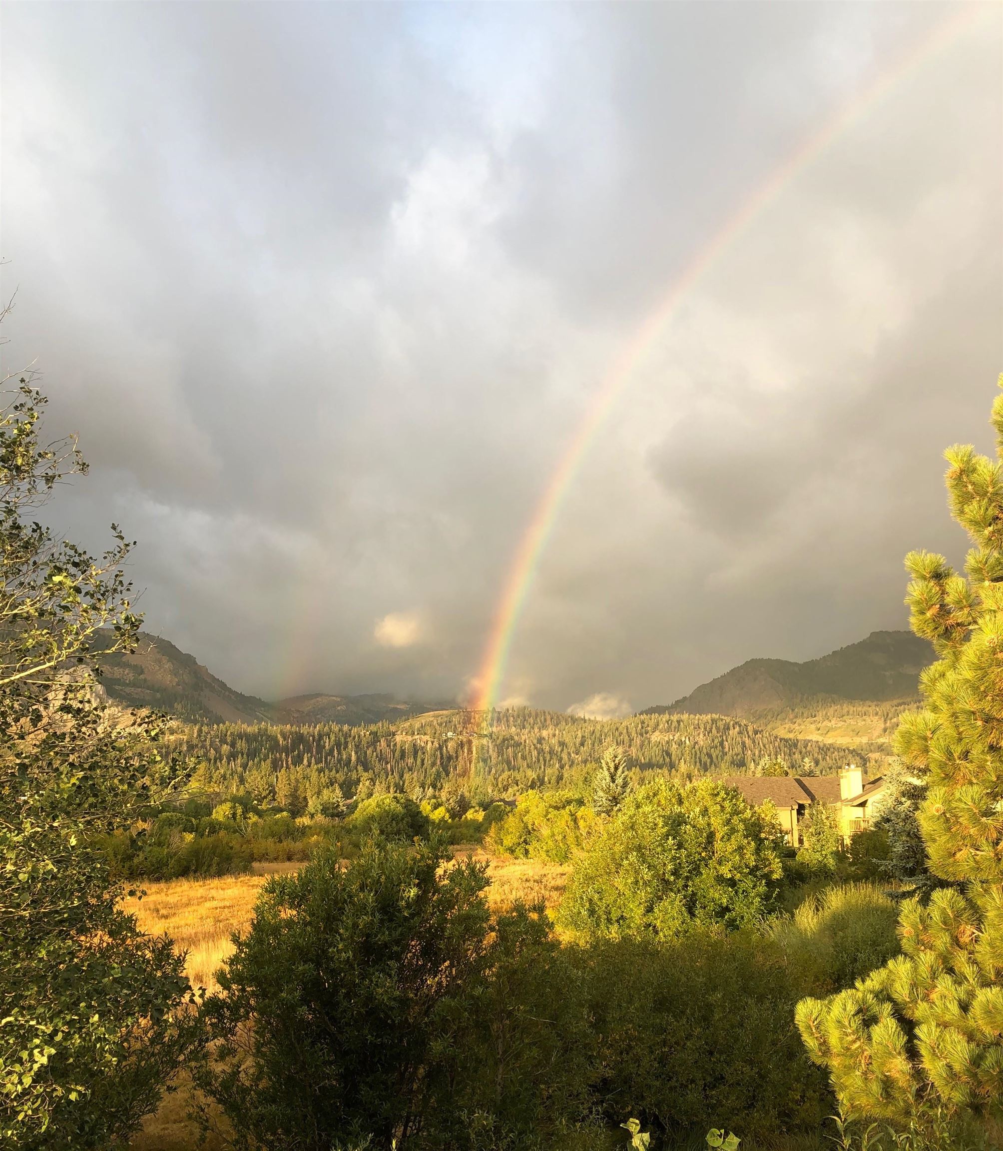 28 Sunshine Unit: 28