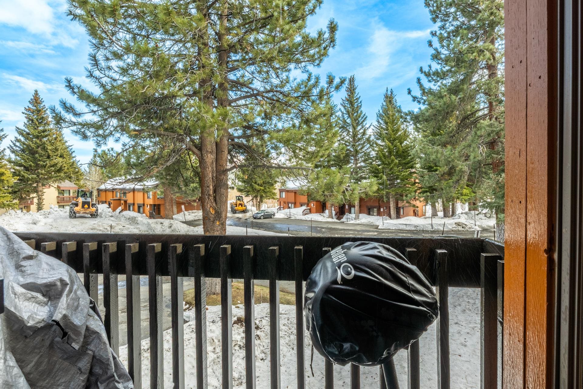 28 Sunshine Unit: 28