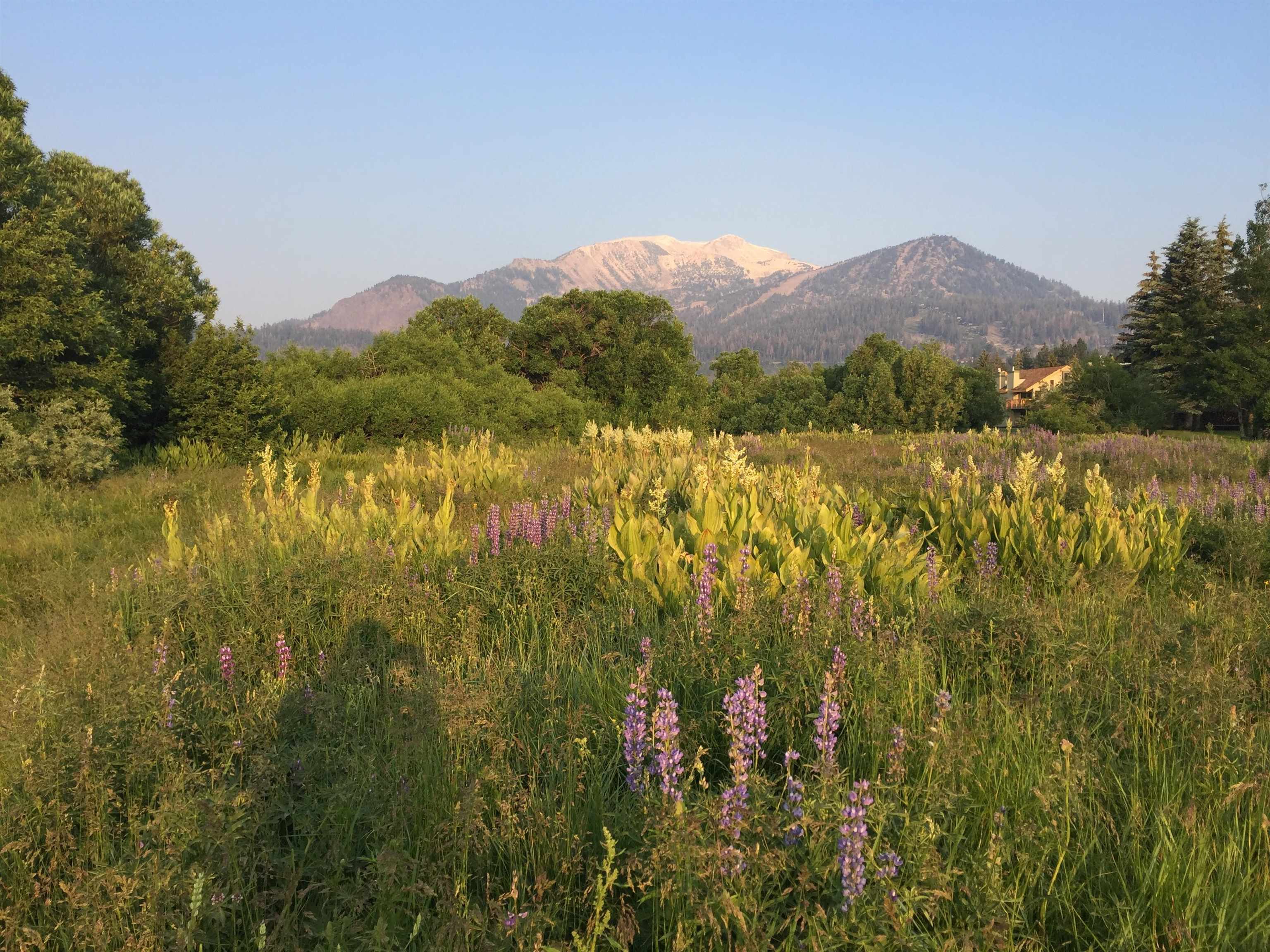 28 Sunshine Unit: 28