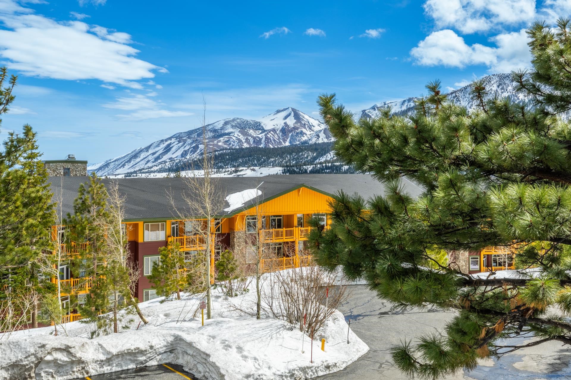 300 Juniper Springs Drive Unit: 111