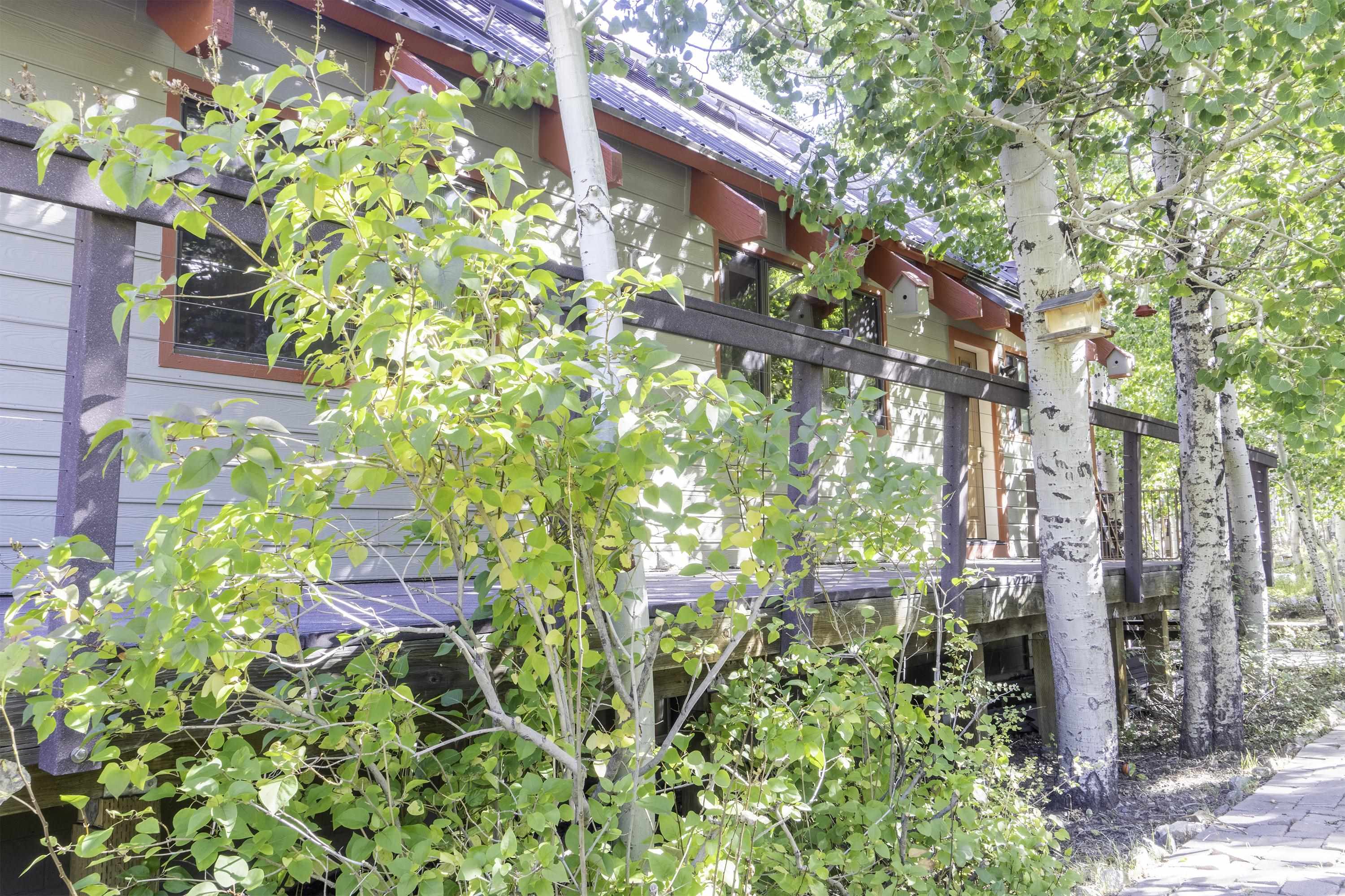 141 Sage Drive