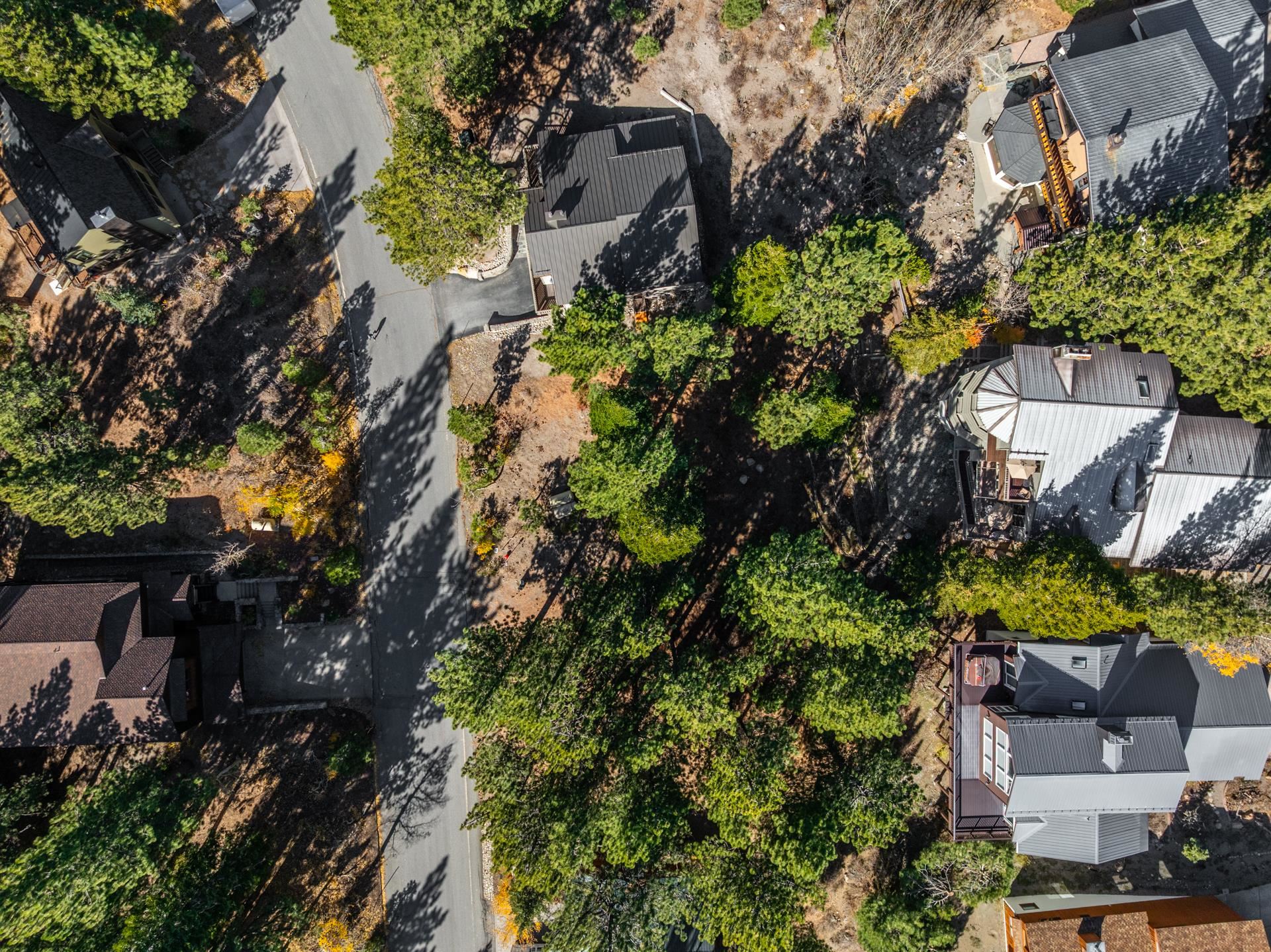 636 Majestic Pines Drive