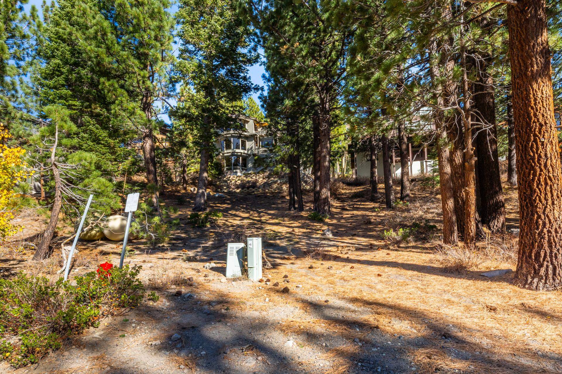 636 Majestic Pines Drive