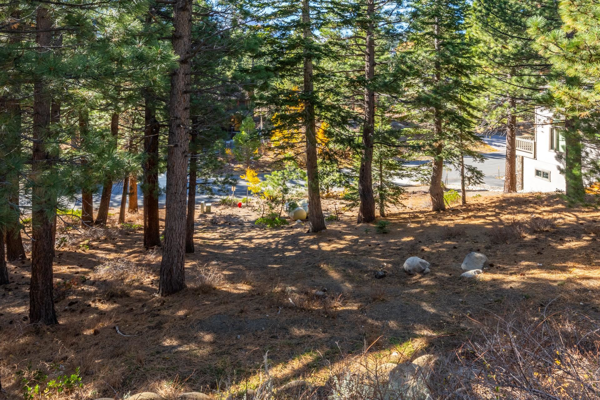 636 Majestic Pines Drive