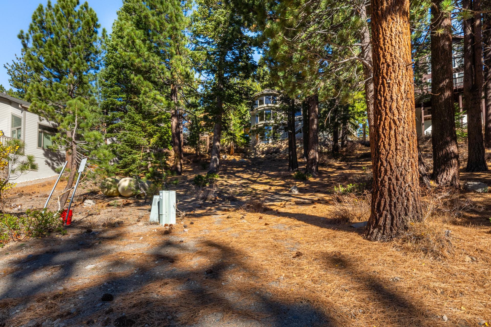 636 Majestic Pines Drive