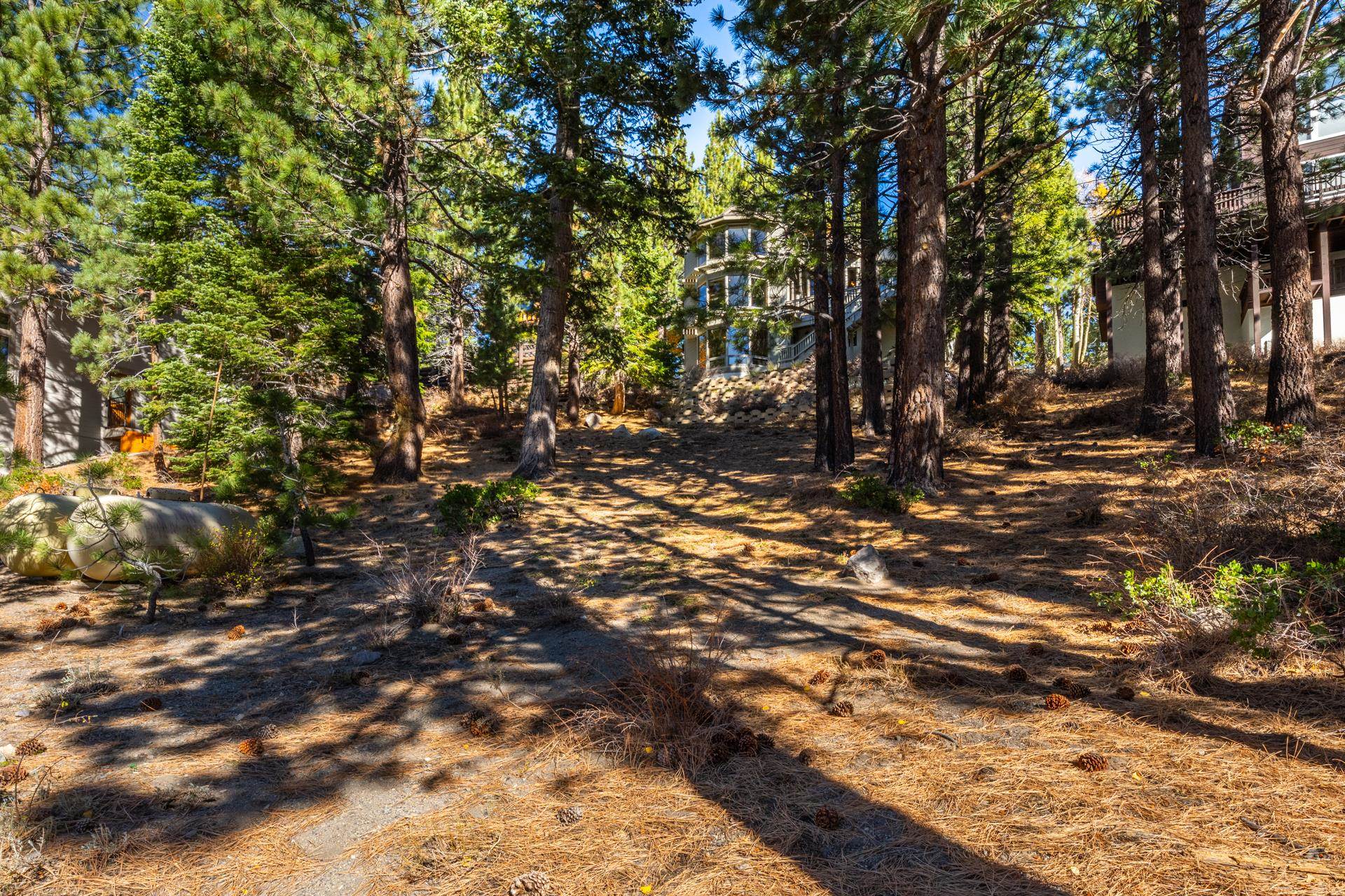 636 Majestic Pines Drive