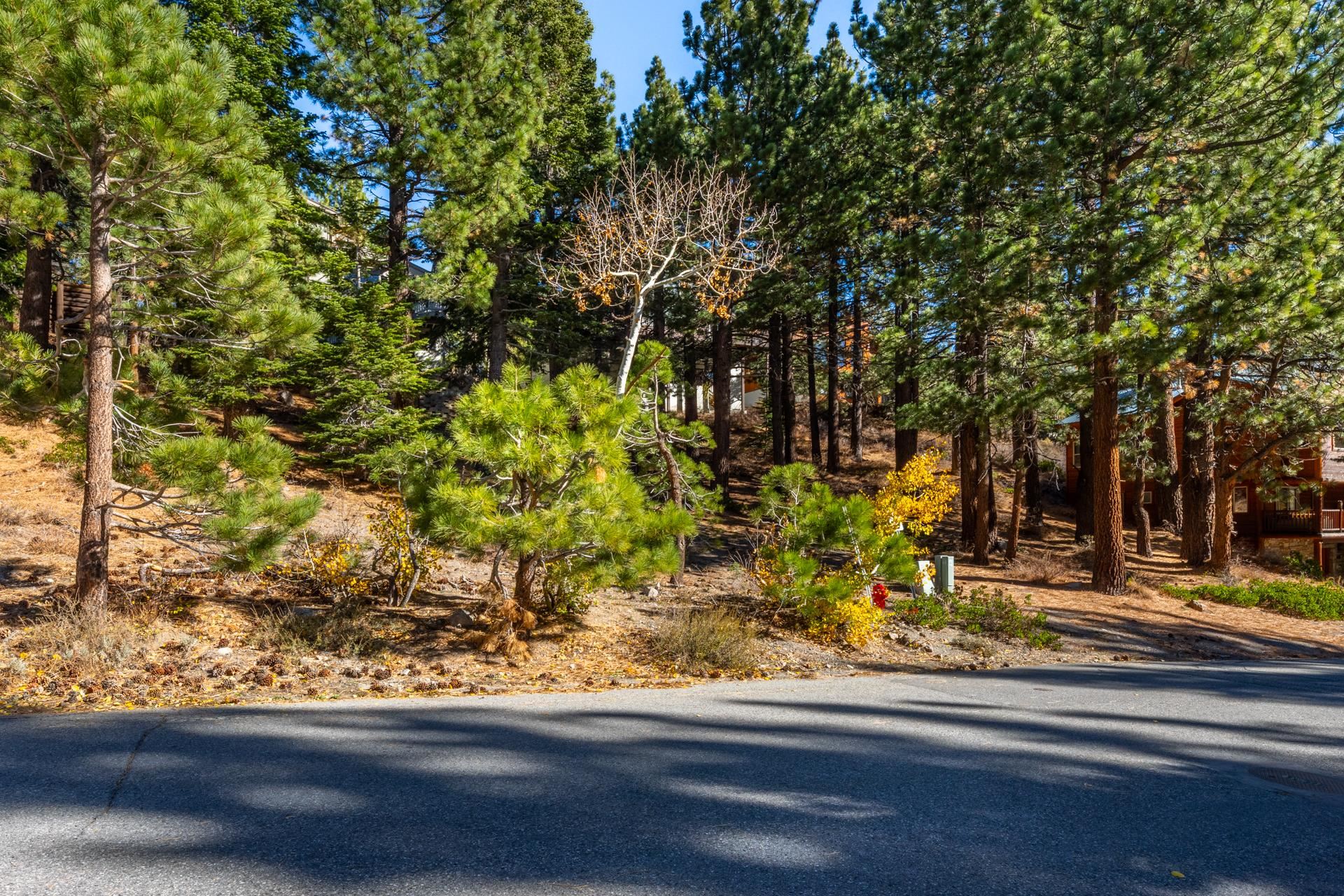 636 Majestic Pines Drive