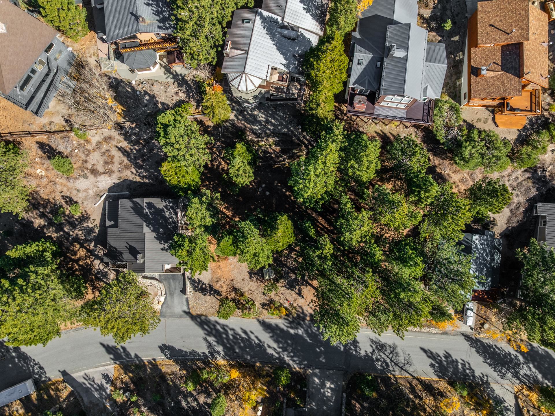 636 Majestic Pines Drive