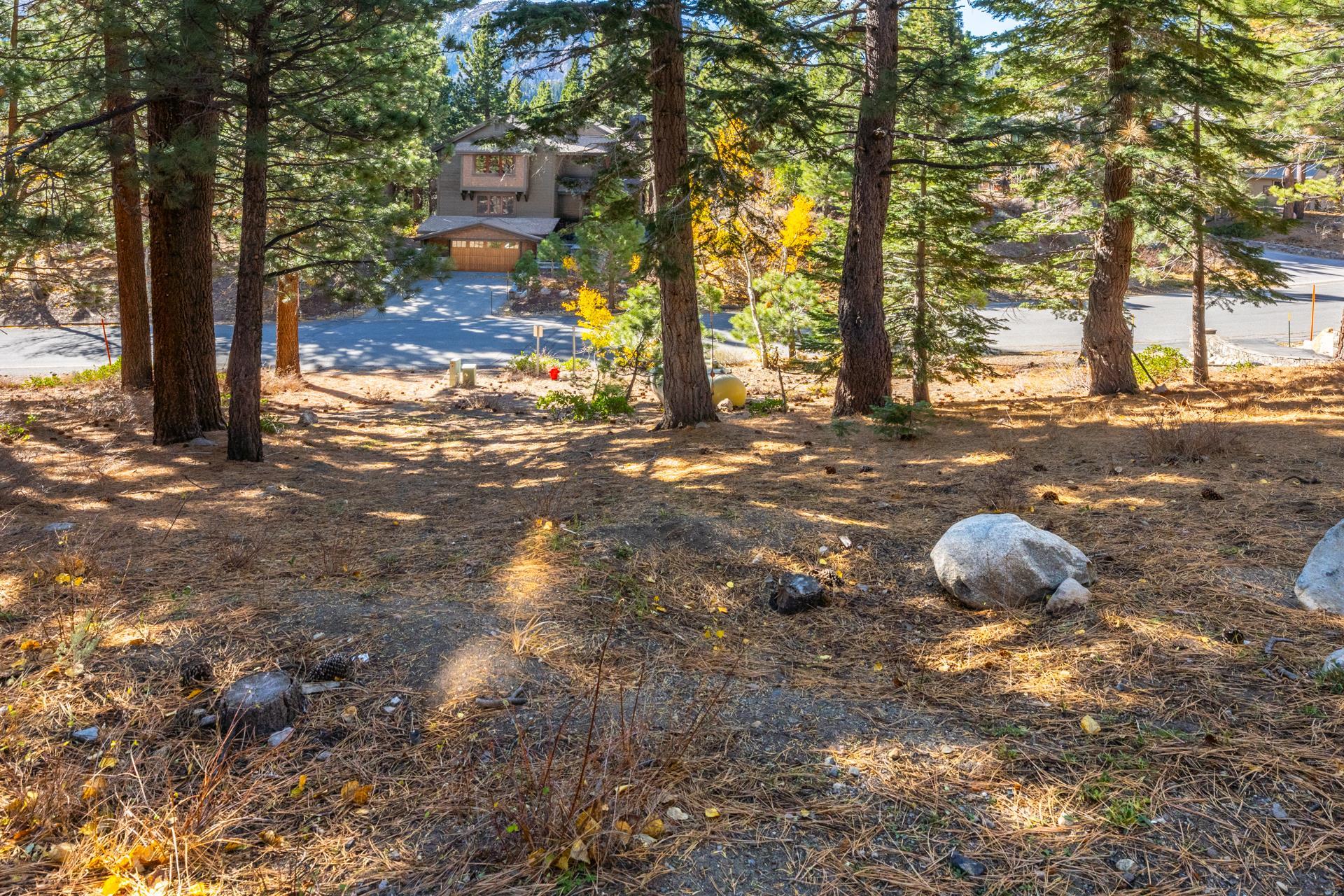 636 Majestic Pines Drive