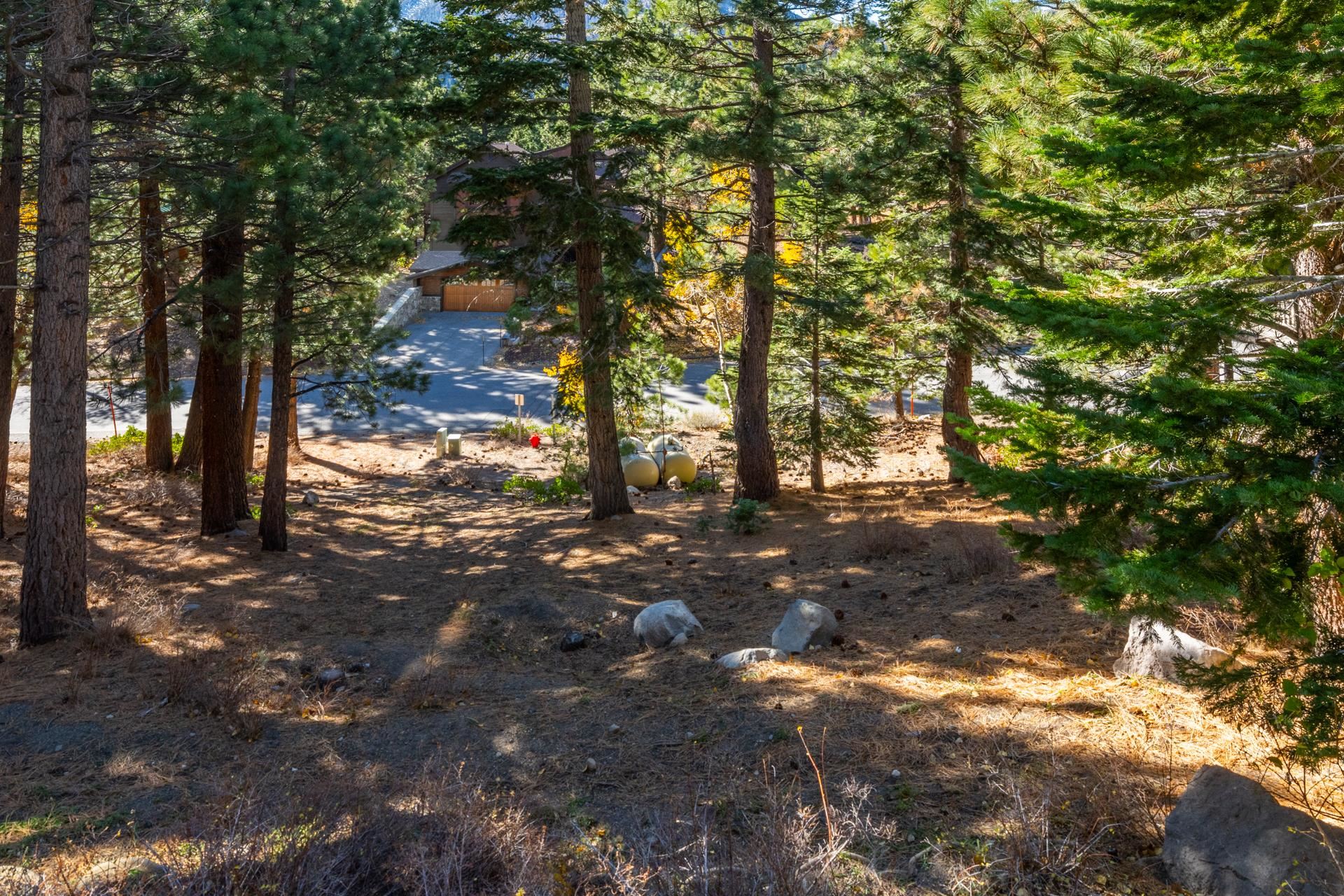 636 Majestic Pines Drive