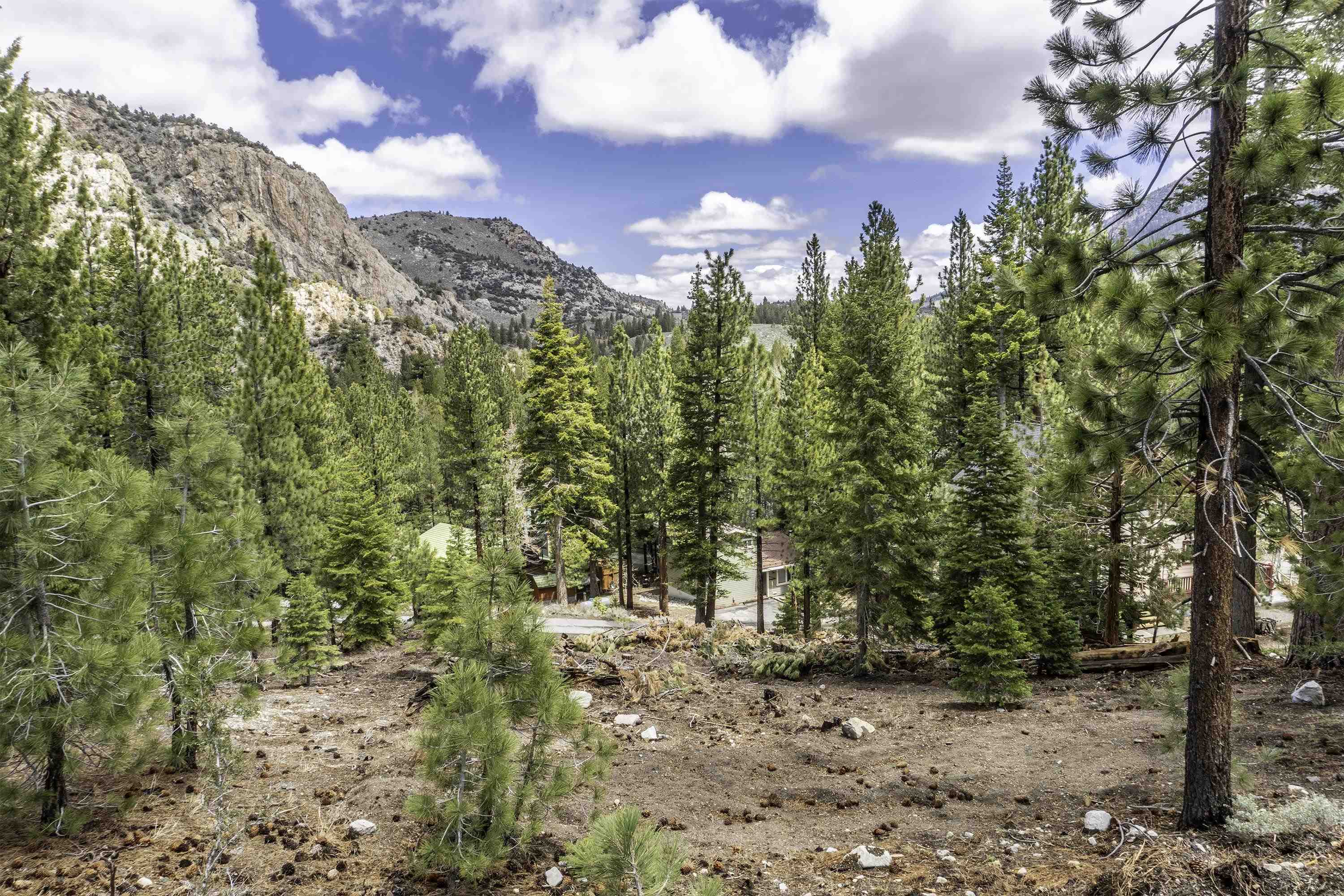 Unassigned Piute/Mono Streets