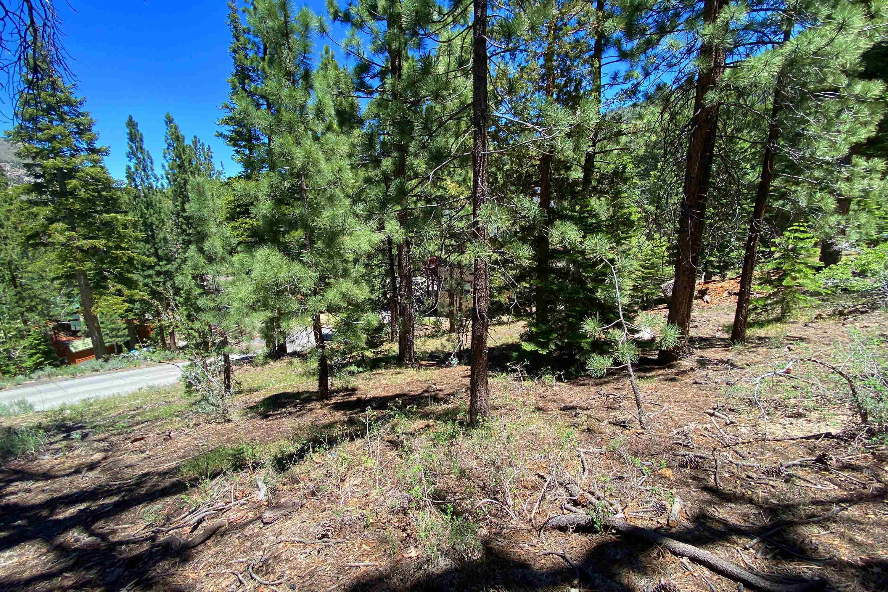 Unassigned Piute/Mono Streets