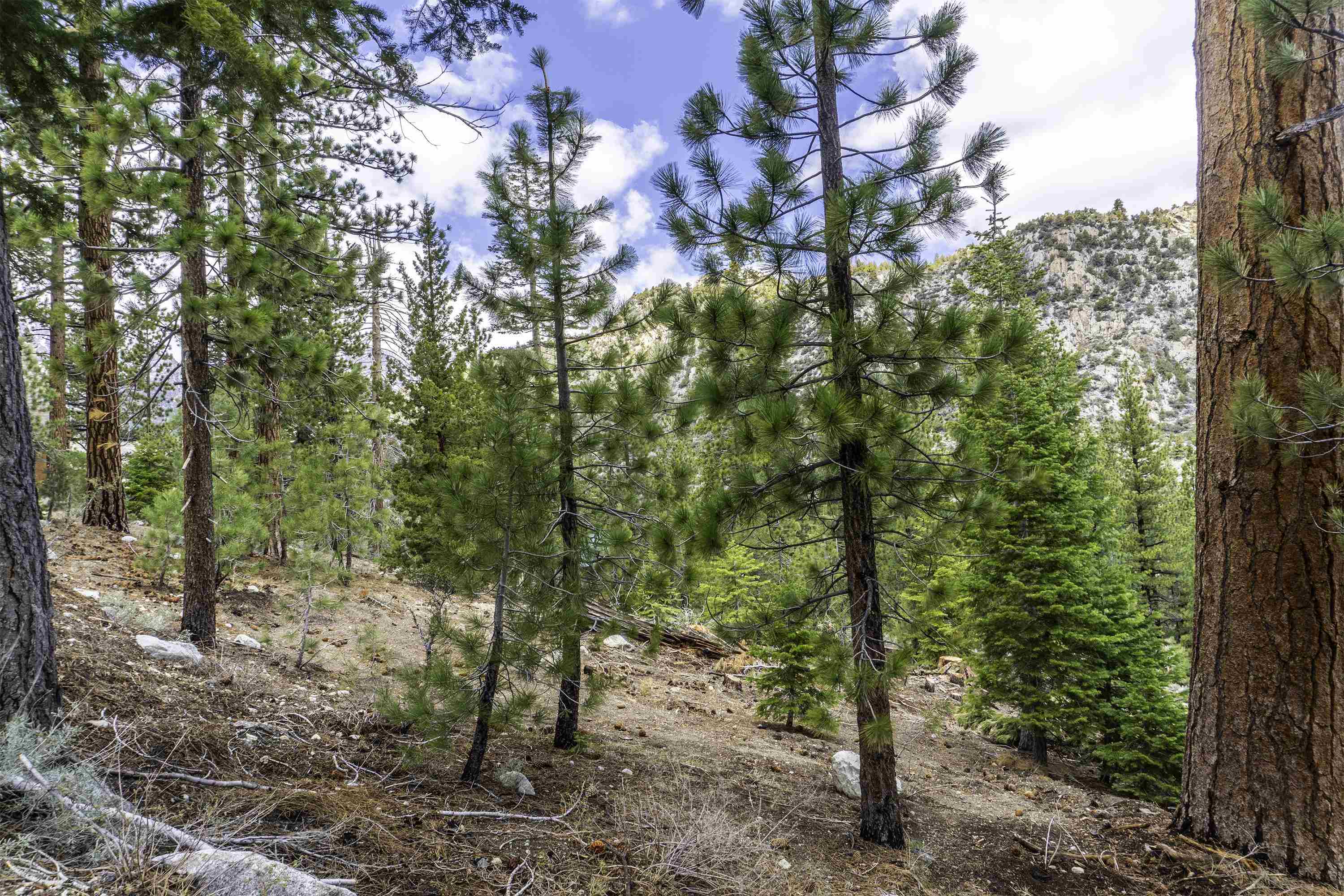 Unassigned Piute/Mono Streets