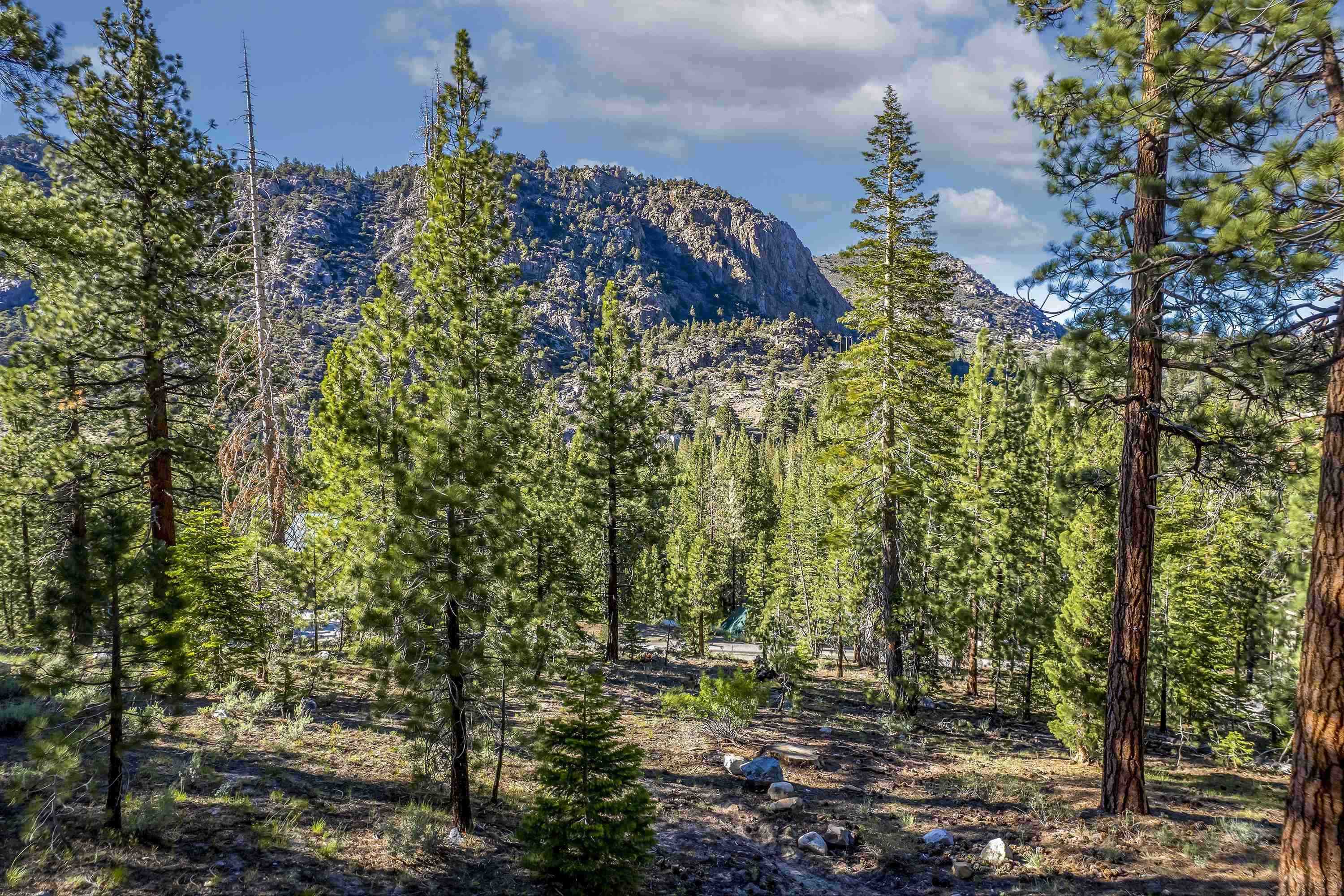 Unassigned Piute/Mono Streets