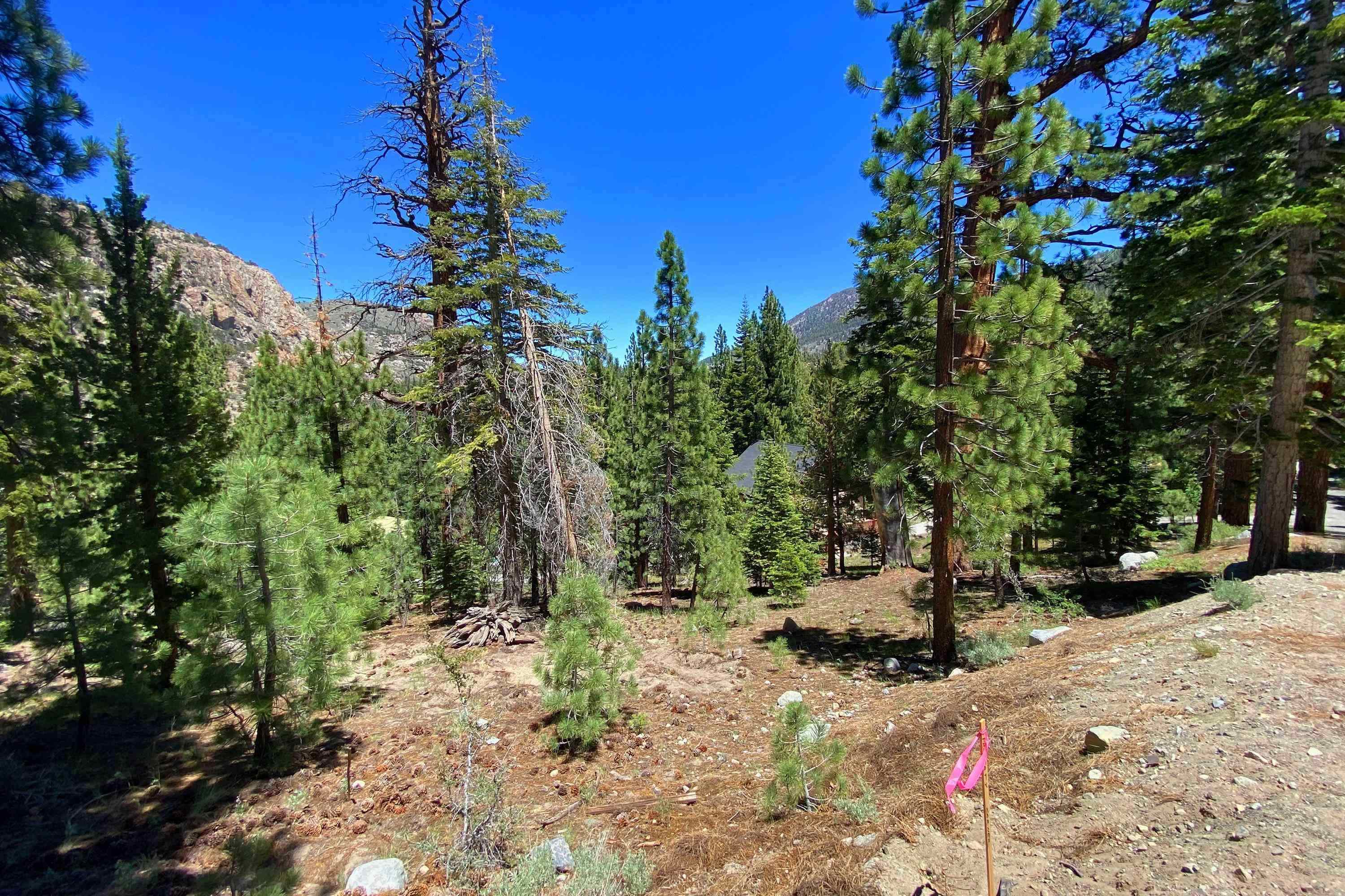 Unassigned Piute/Mono Streets