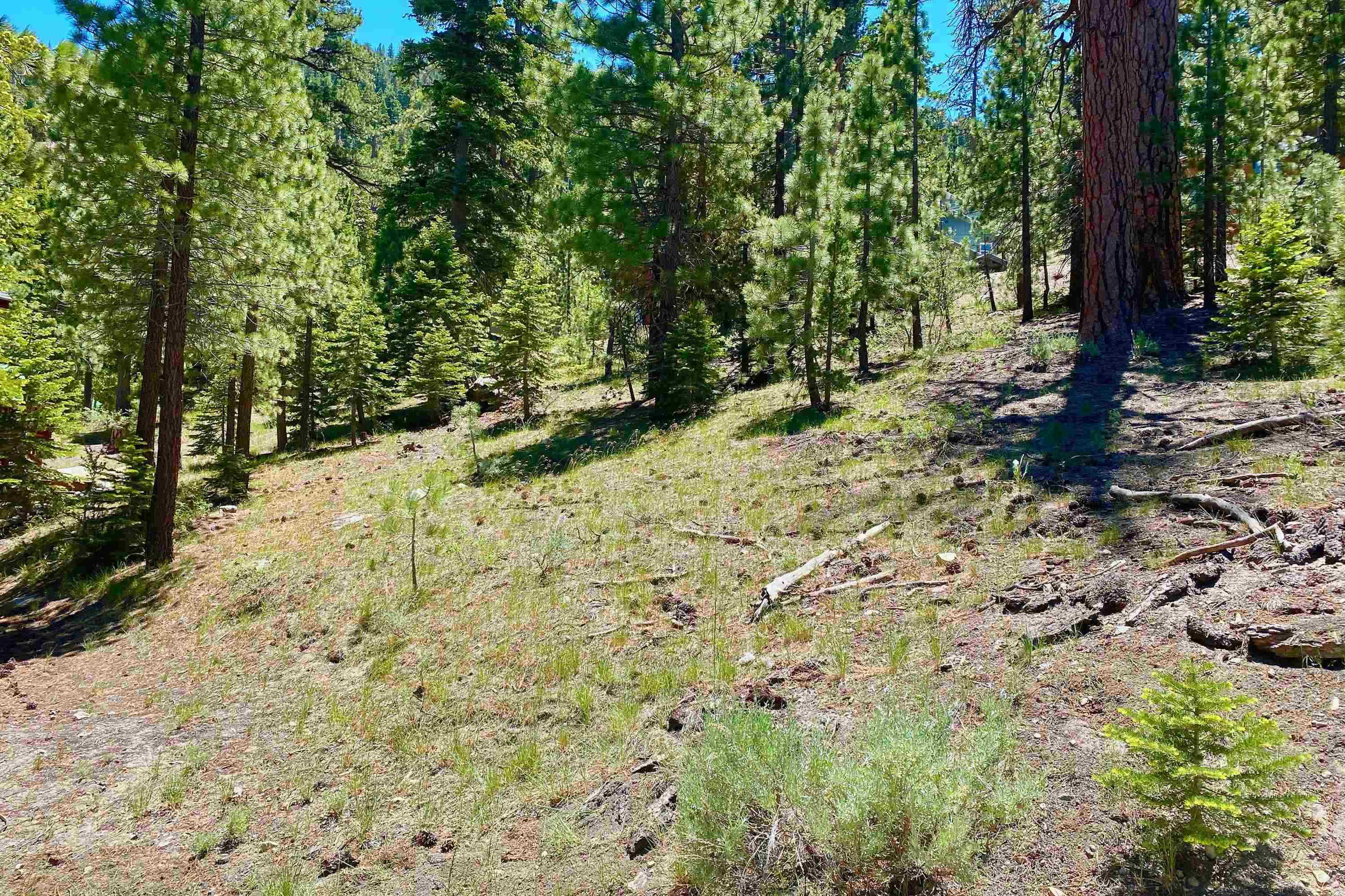 Unassigned Piute/Mono Streets