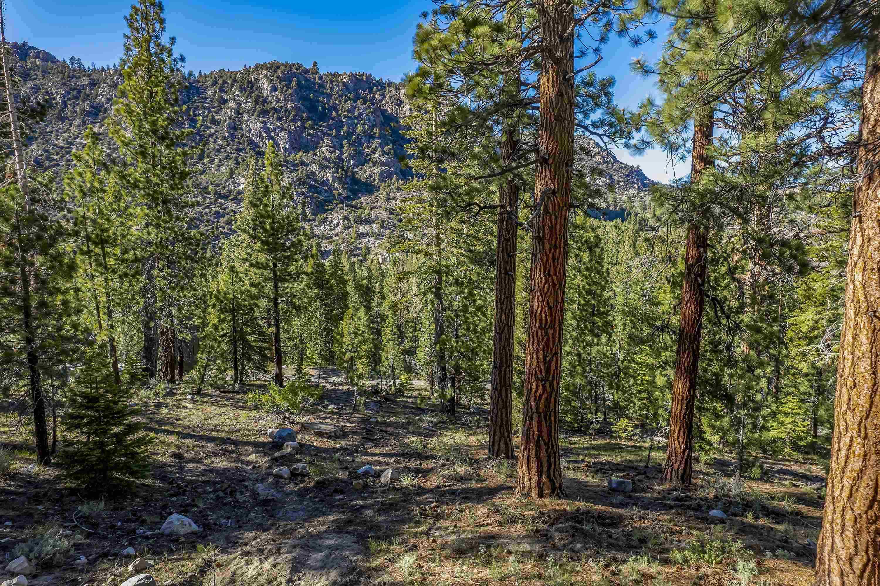 Unassigned Piute/Mono Streets