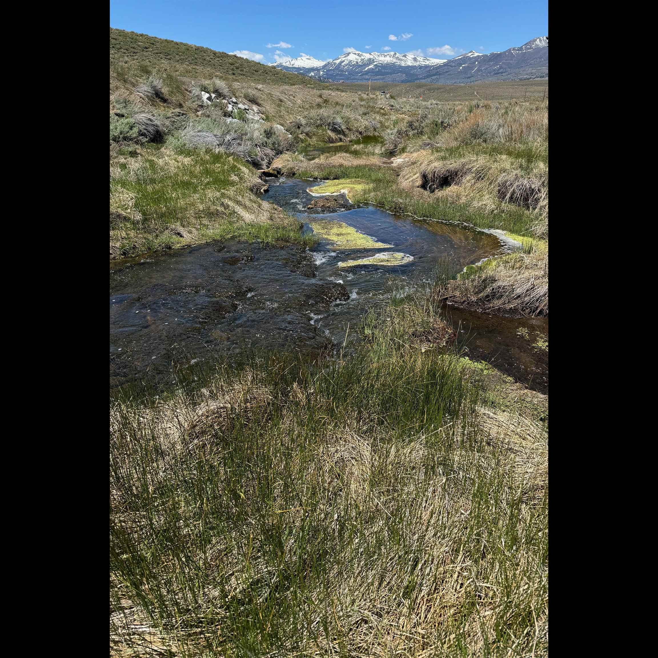 APN: 006-120-040-000, Hwy 395