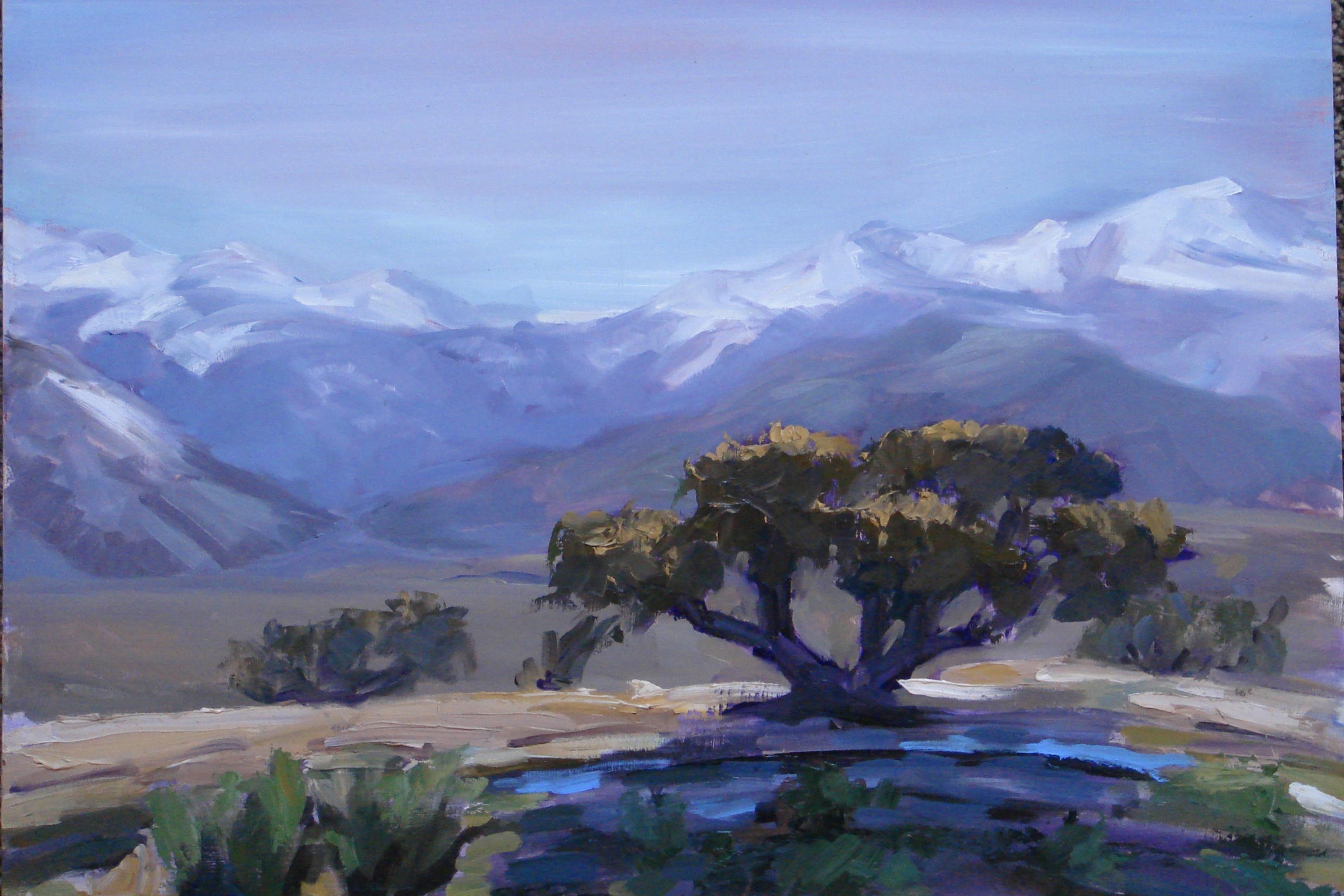 APN: 006-120-040-000, Hwy 395