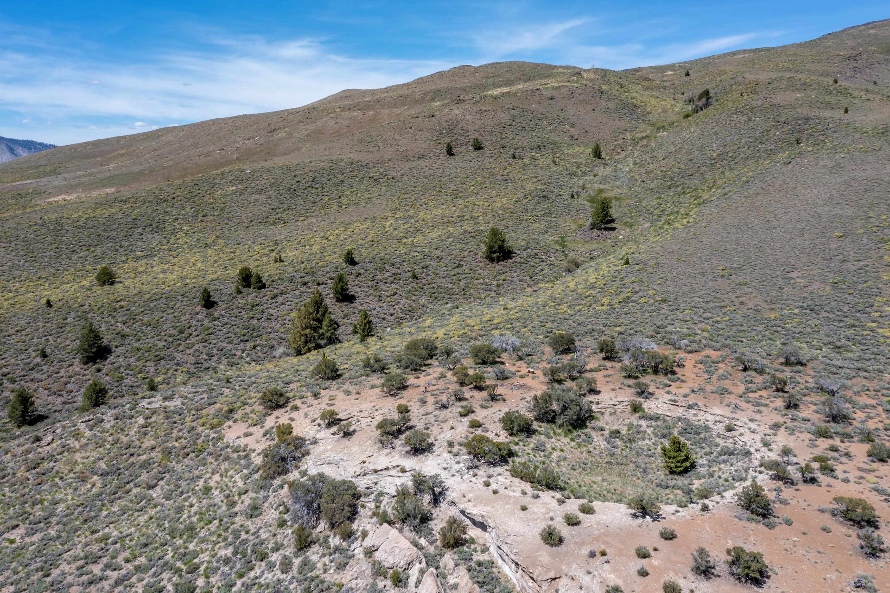 APN: 006-120-040-000, Hwy 395