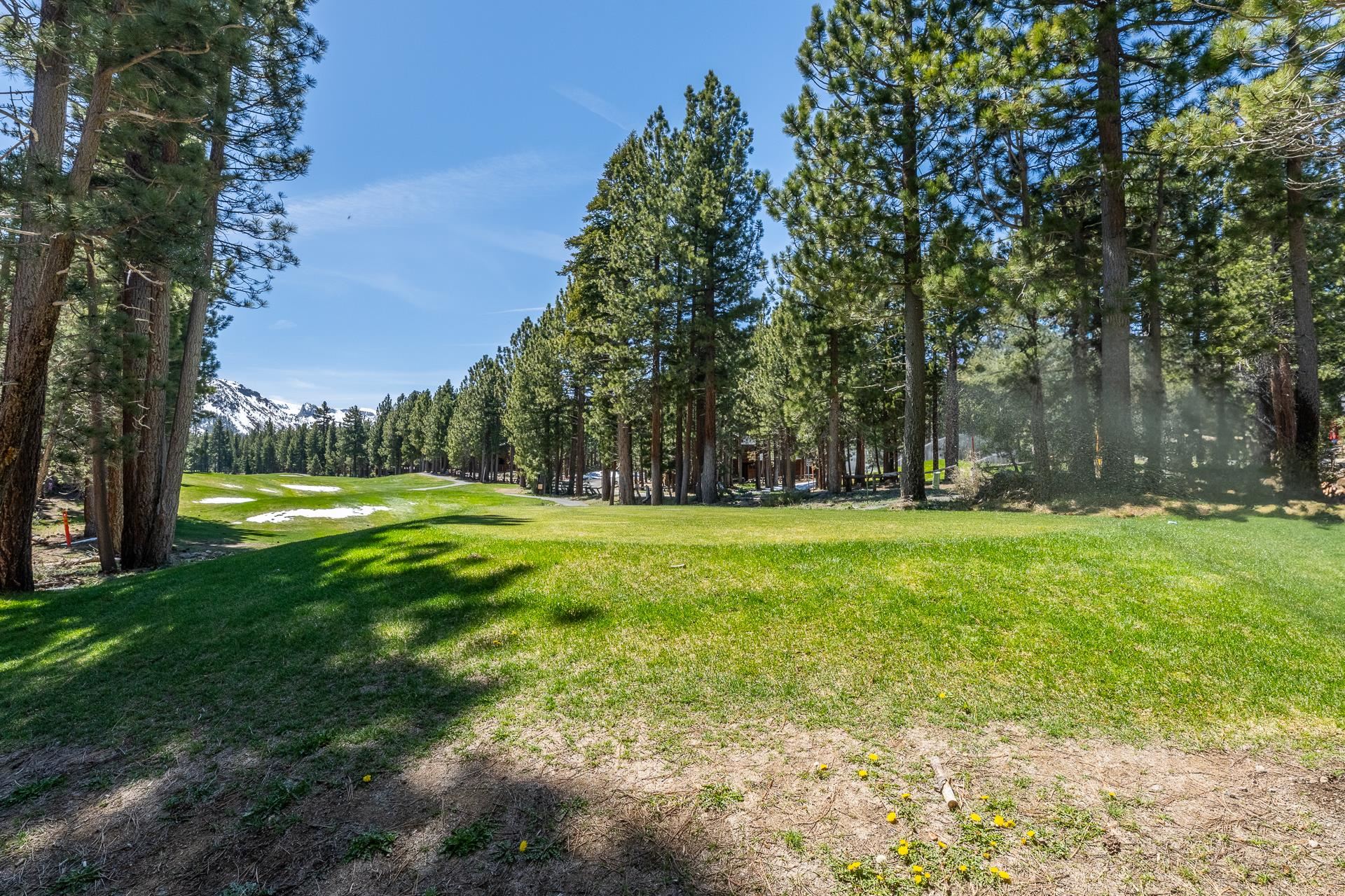 61 Callahan Way D-1 Unit: Door D-1