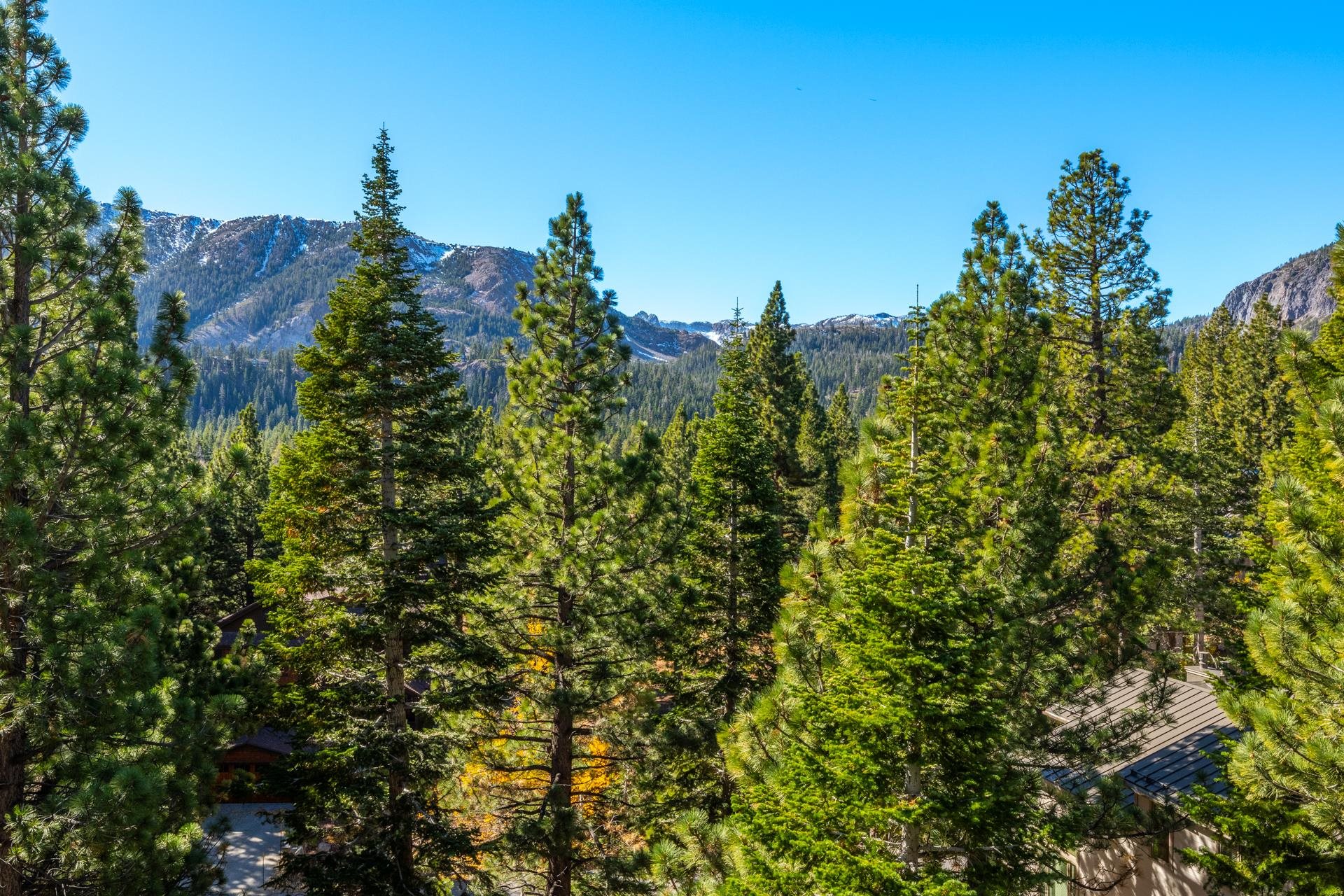 198 Valley Vista