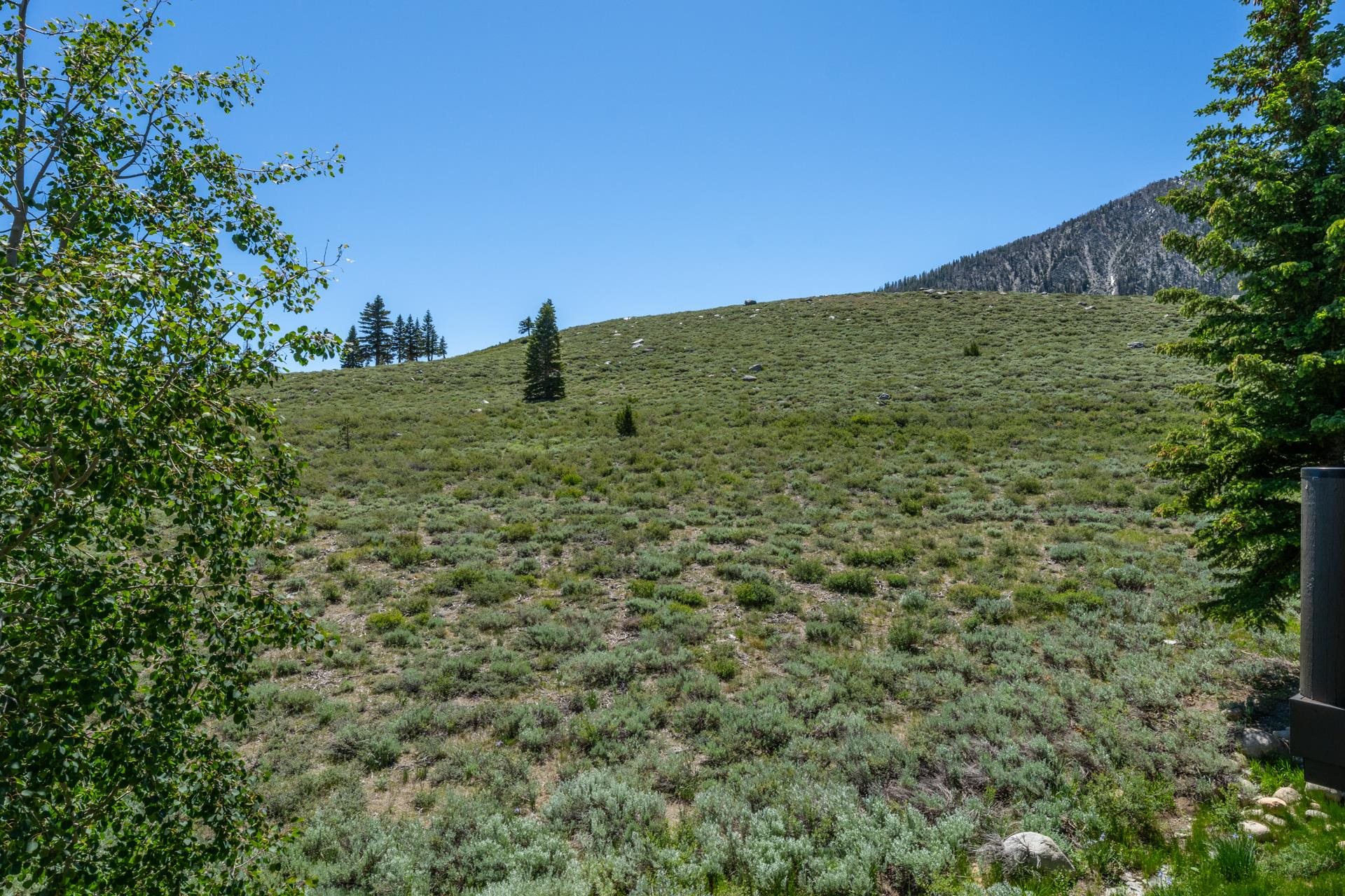808 Fairway Cir Unit: 808