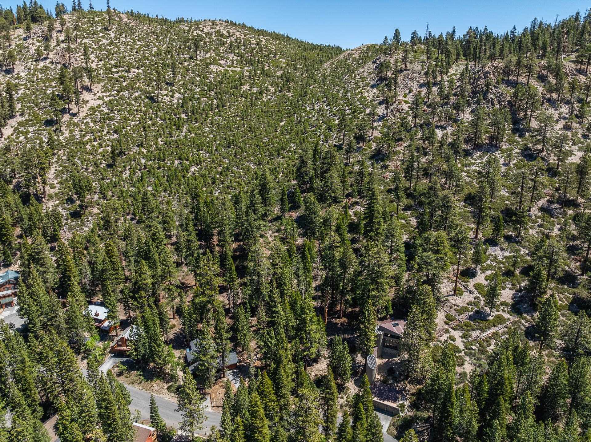 198 Grindelwald Rd