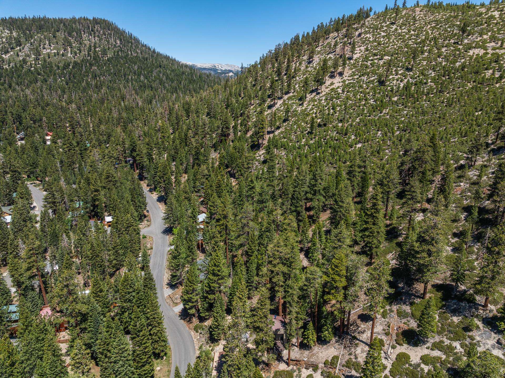 198 Grindelwald Rd