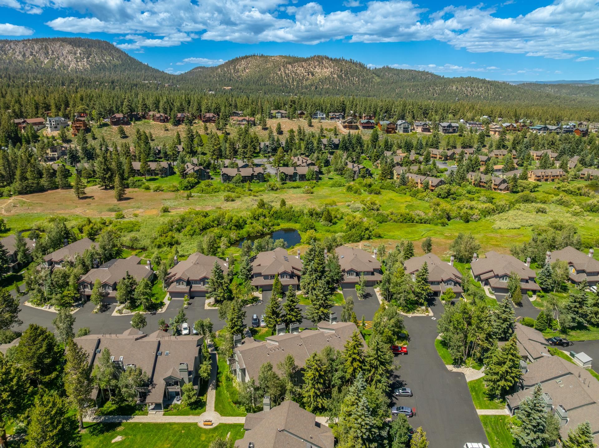 609 Golden Creek Rd Unit: 609