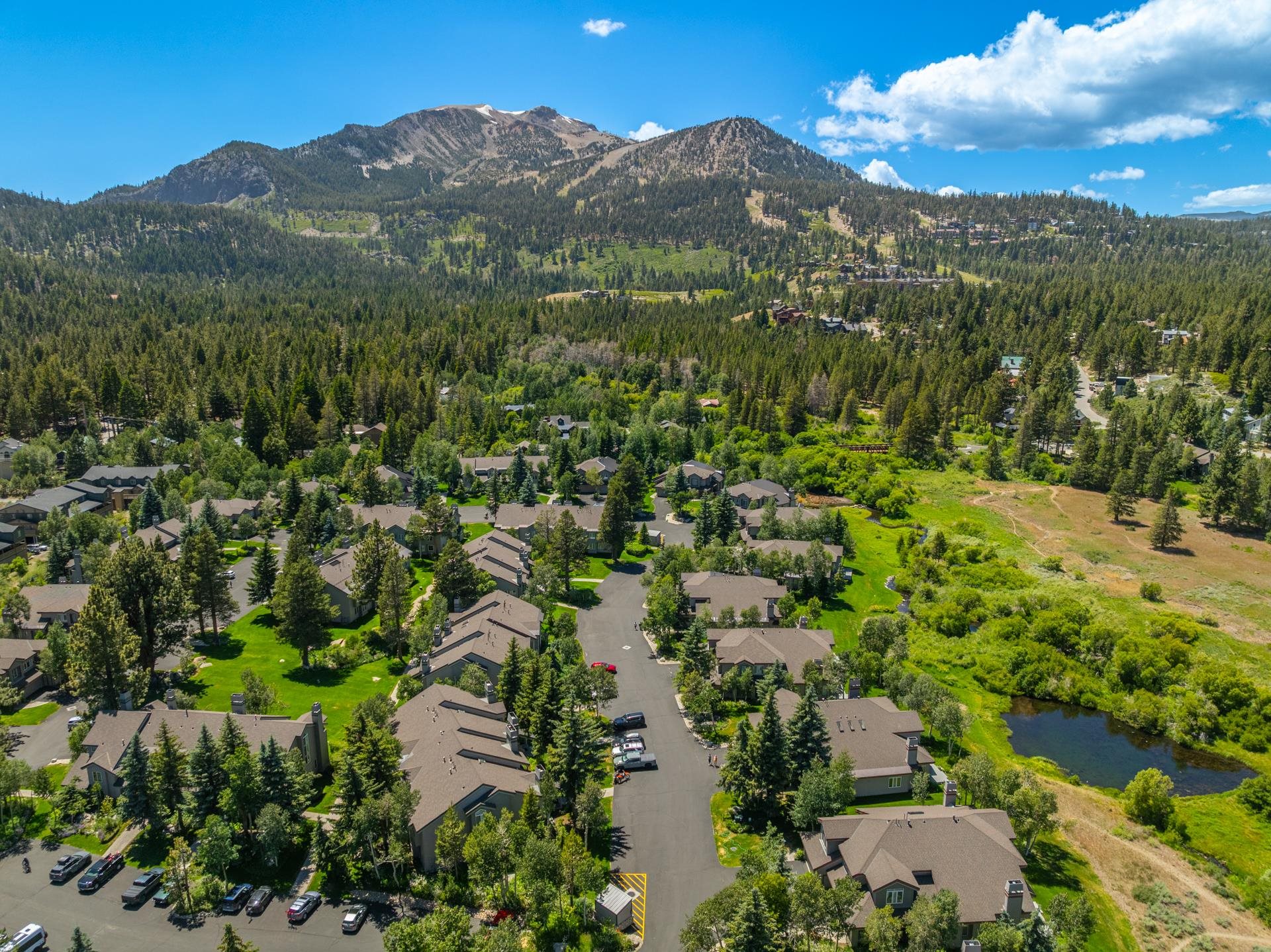 609 Golden Creek Rd Unit: 609