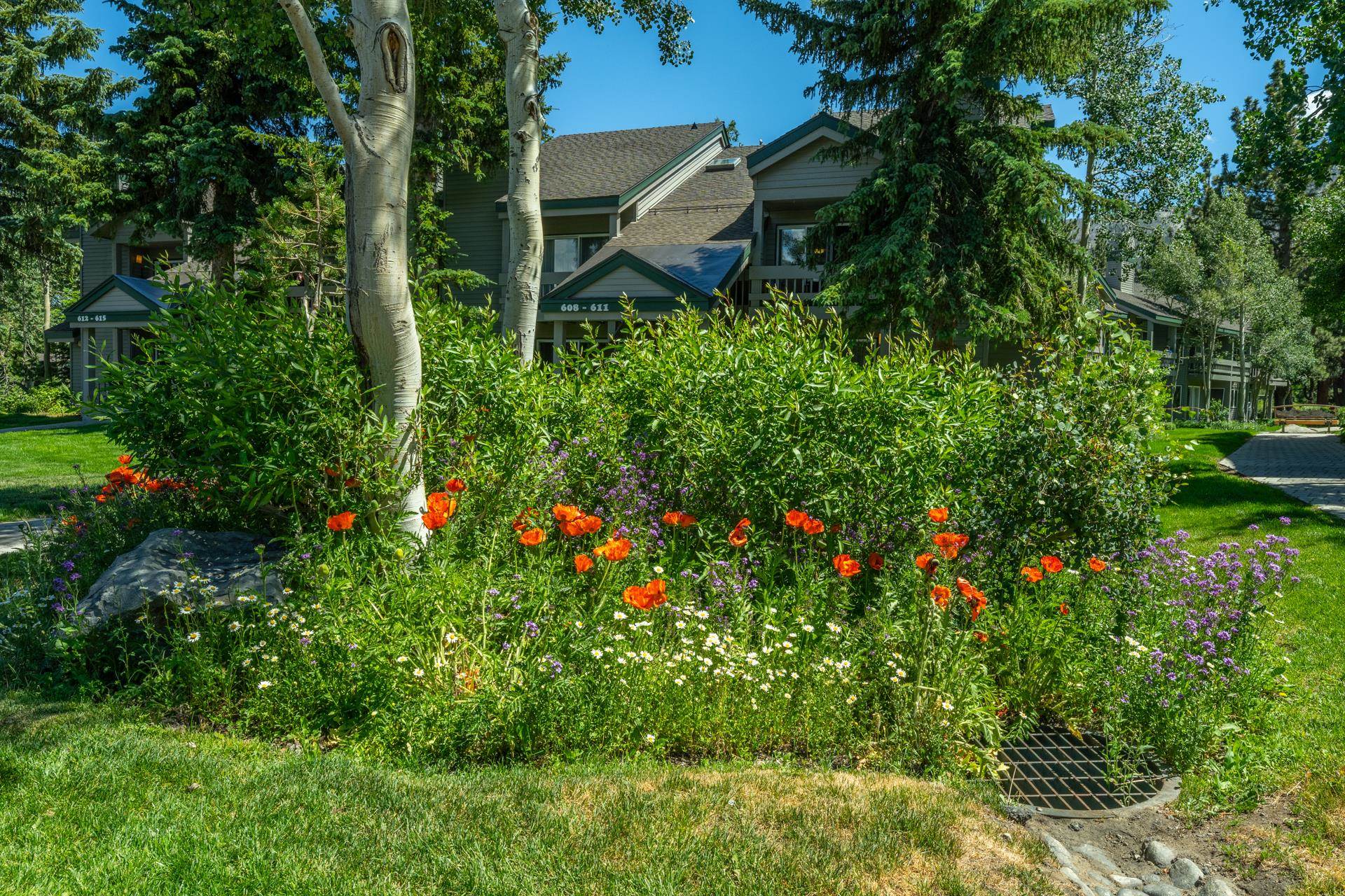 609 Golden Creek Rd Unit: 609
