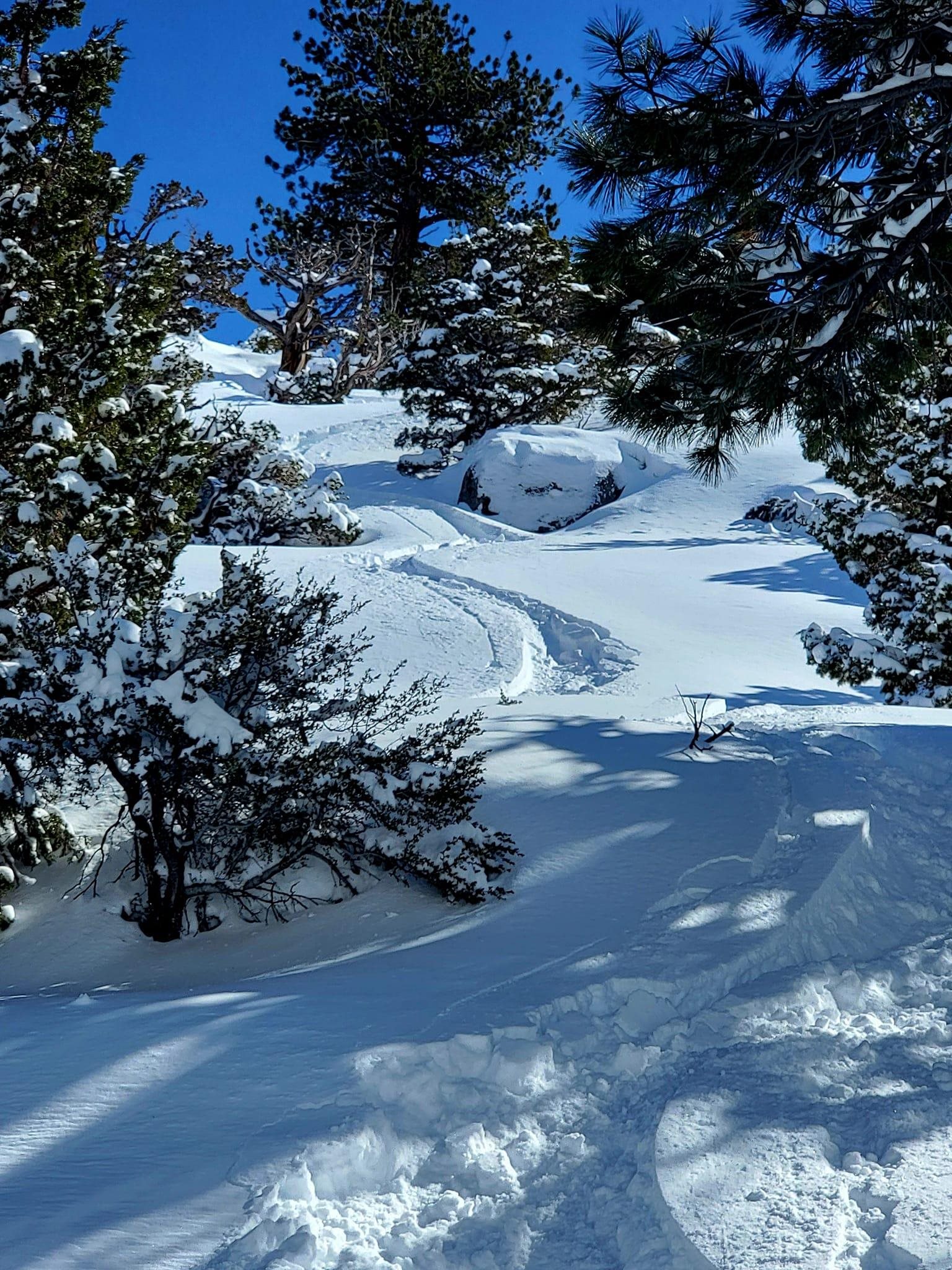 8 Wyoming