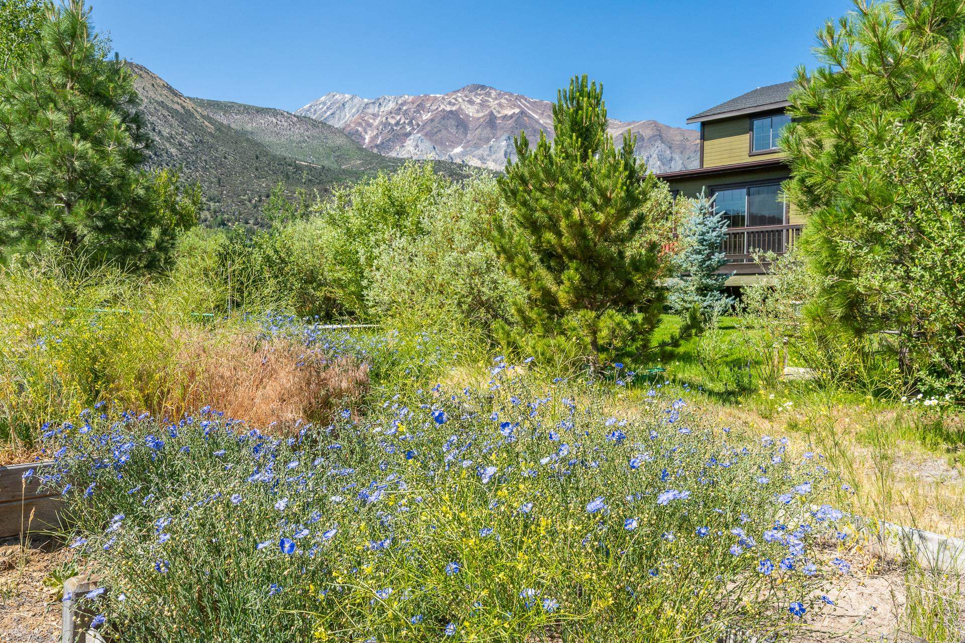 74 Sierra Springs Drive
