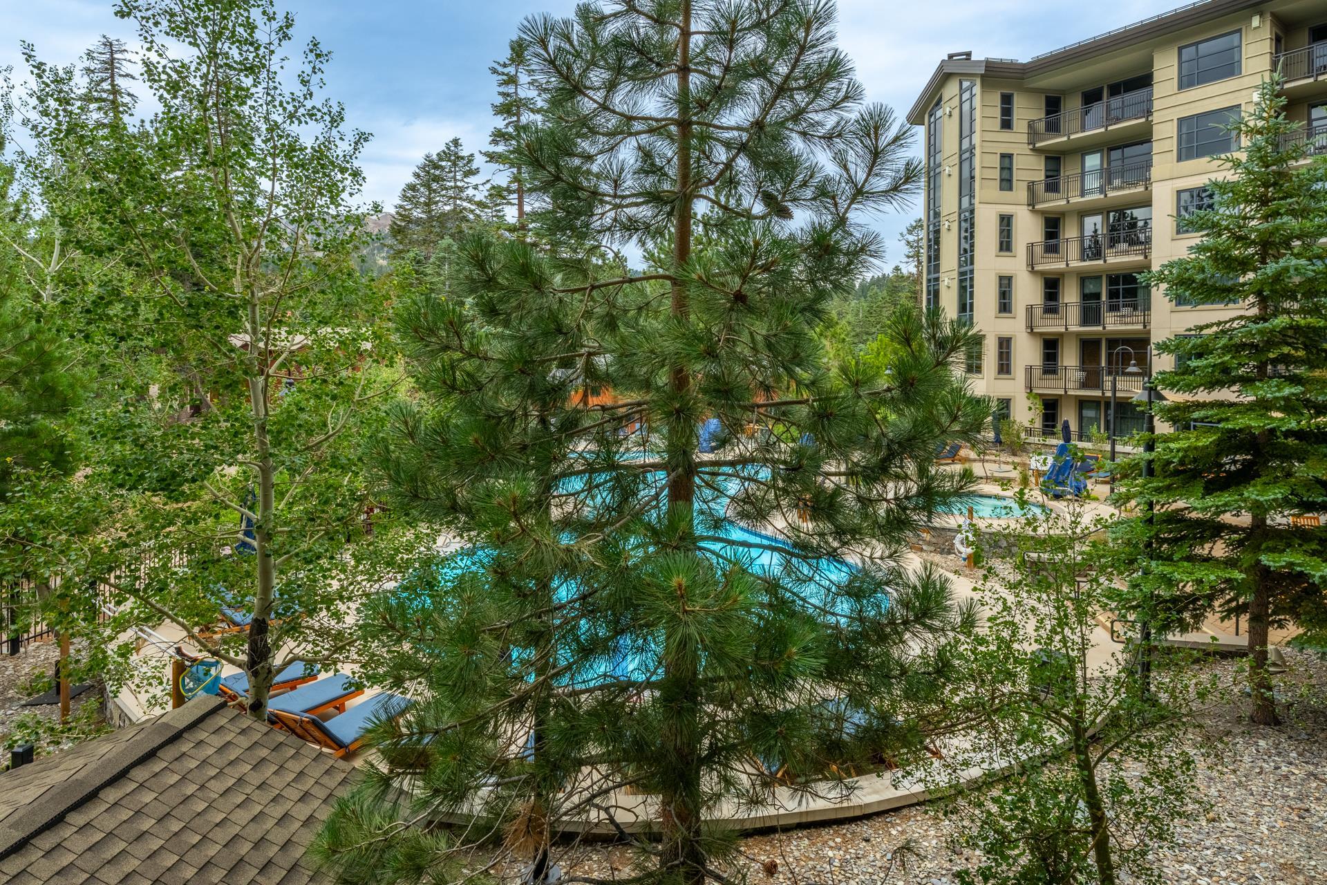 50 Hillside Drive #341